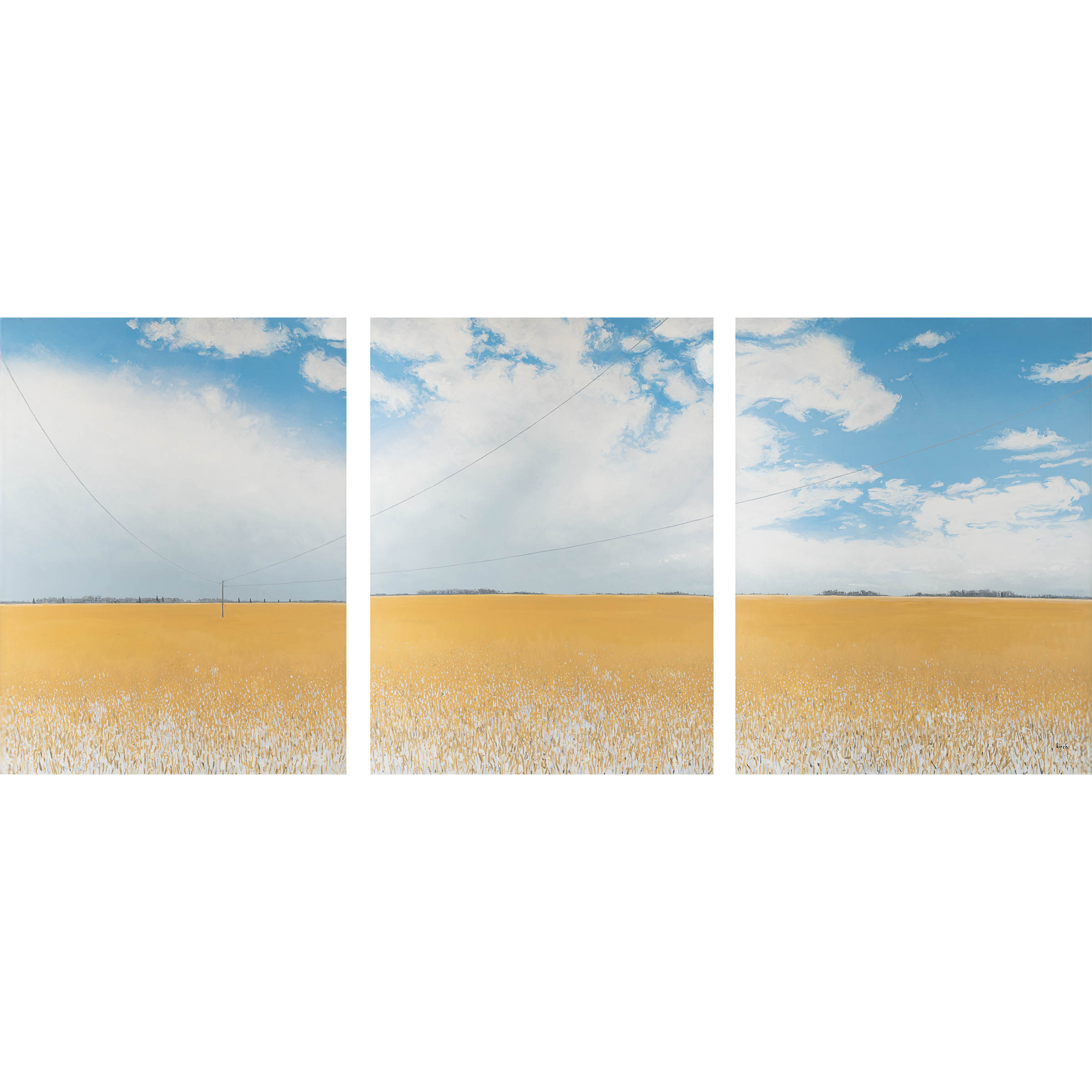 SERIES #27