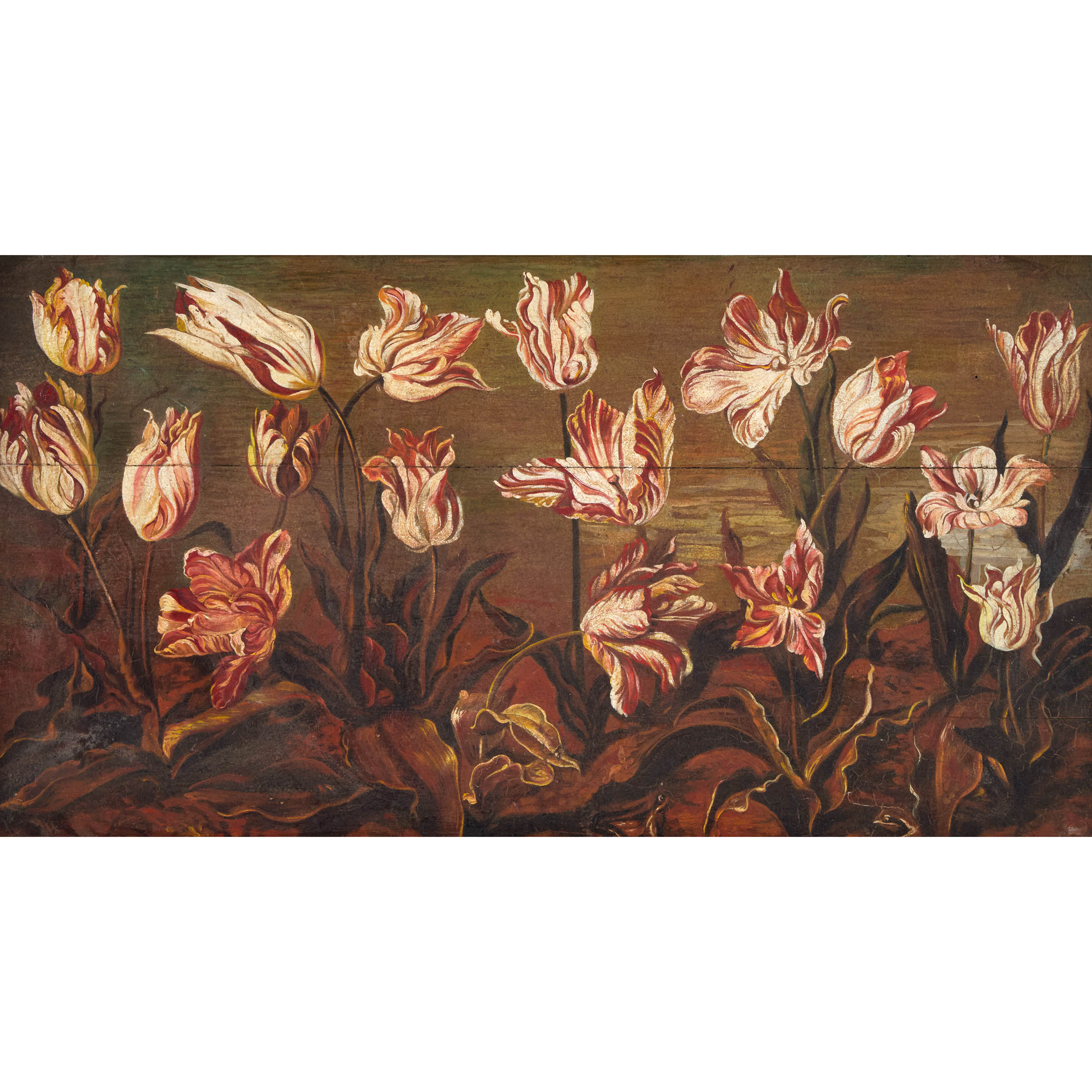 Jacob Gerritsz Cuyp, Pink Tulips