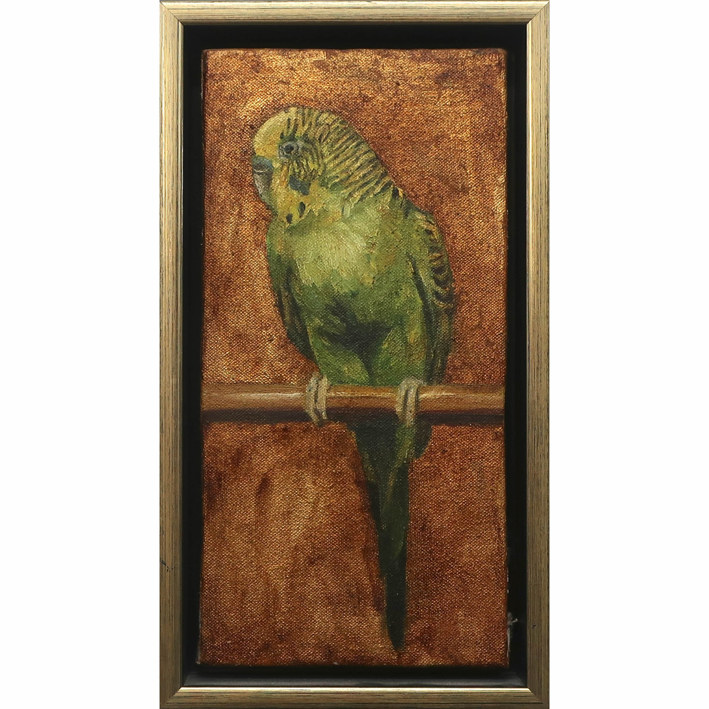 Untitled (Budgie)
