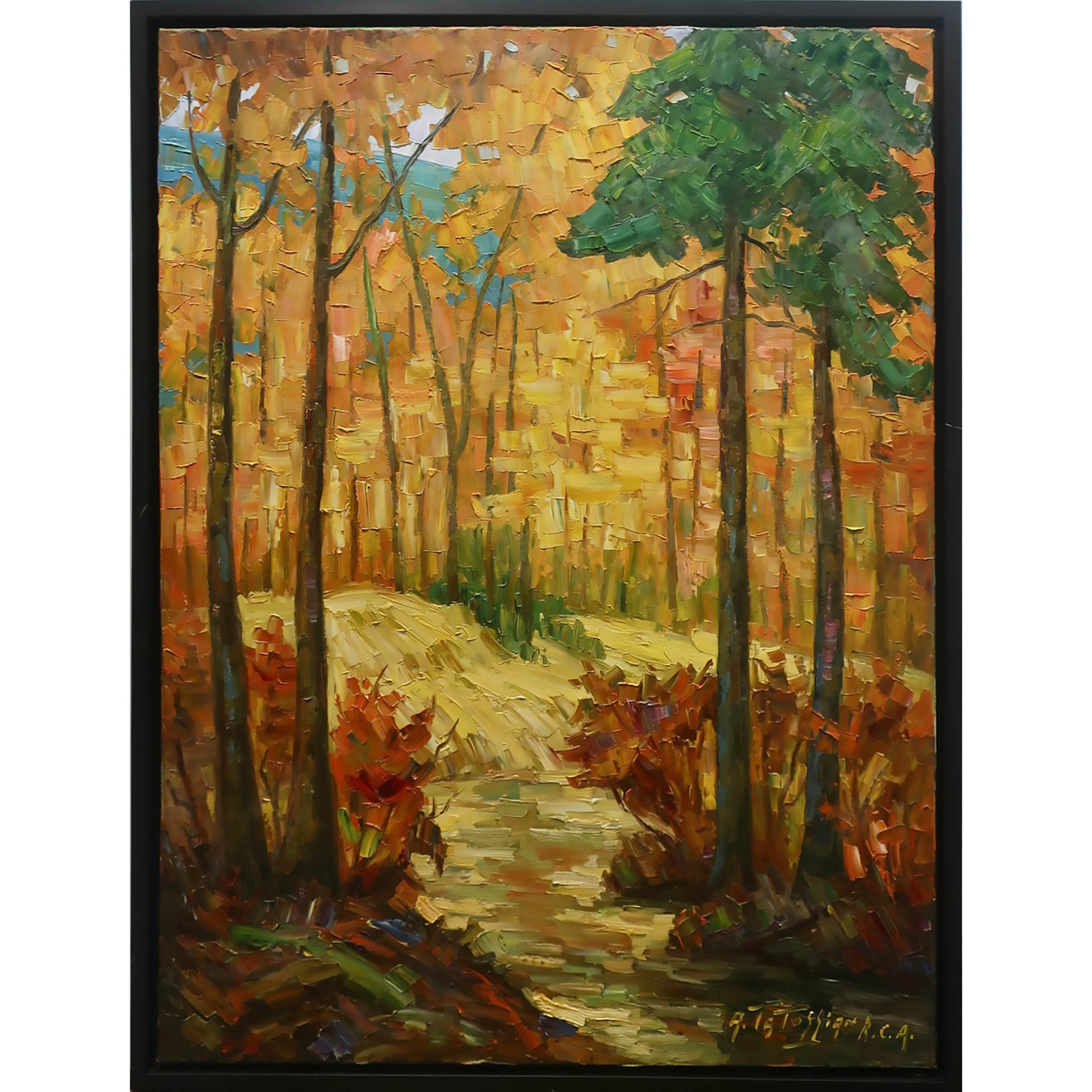 Forest