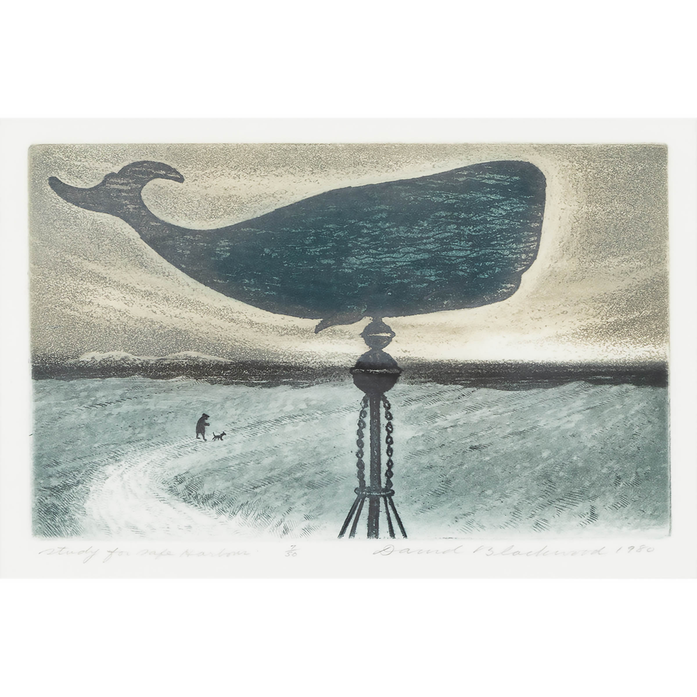 Study for Safe Harbour