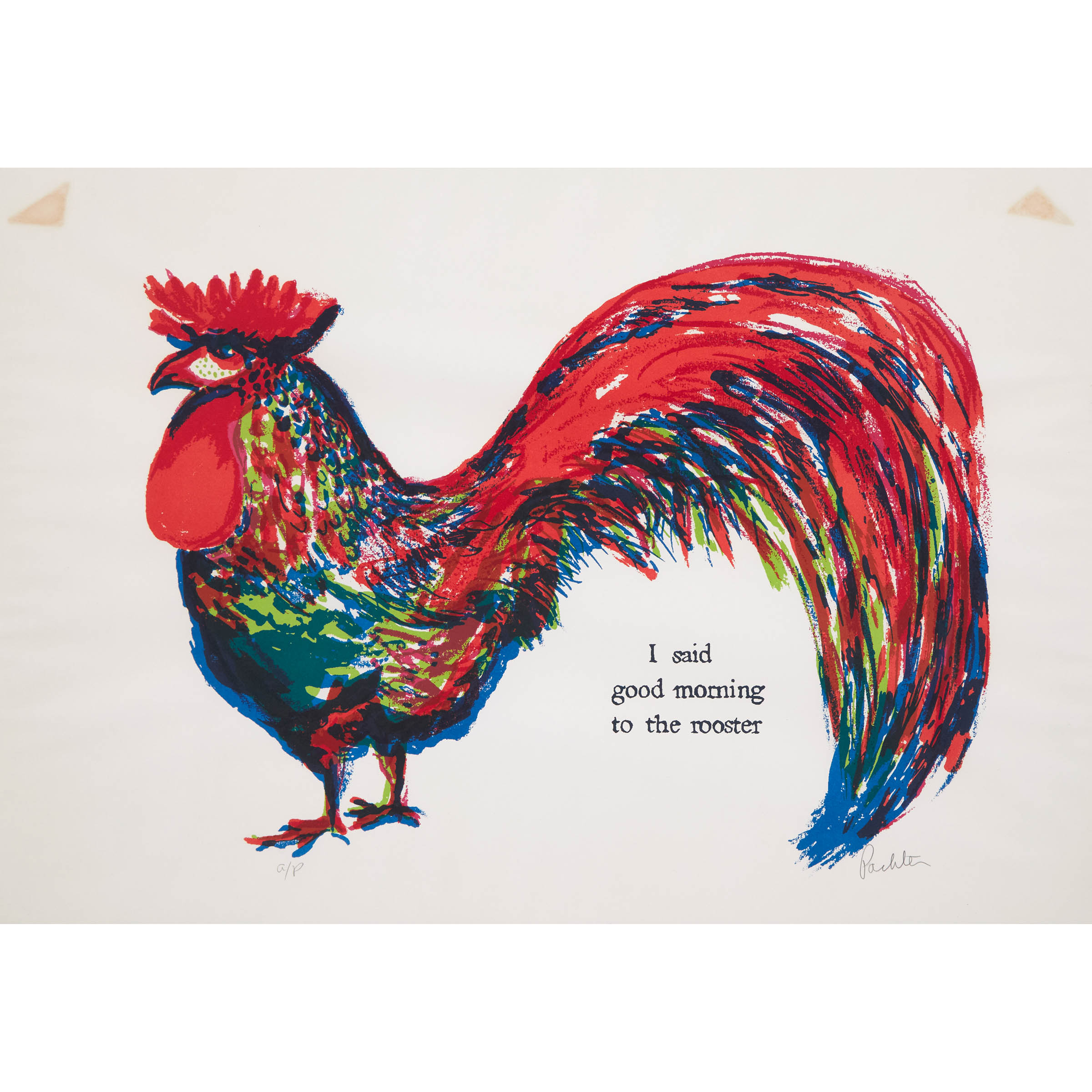 I Said Good Morning to the Rooster