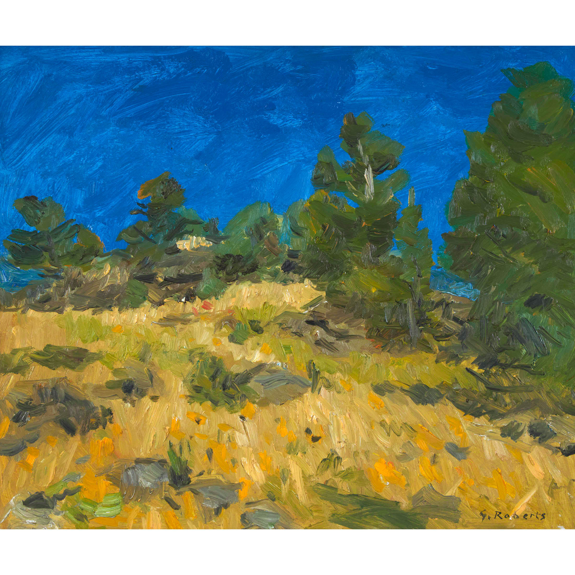 Field and Blue Sky