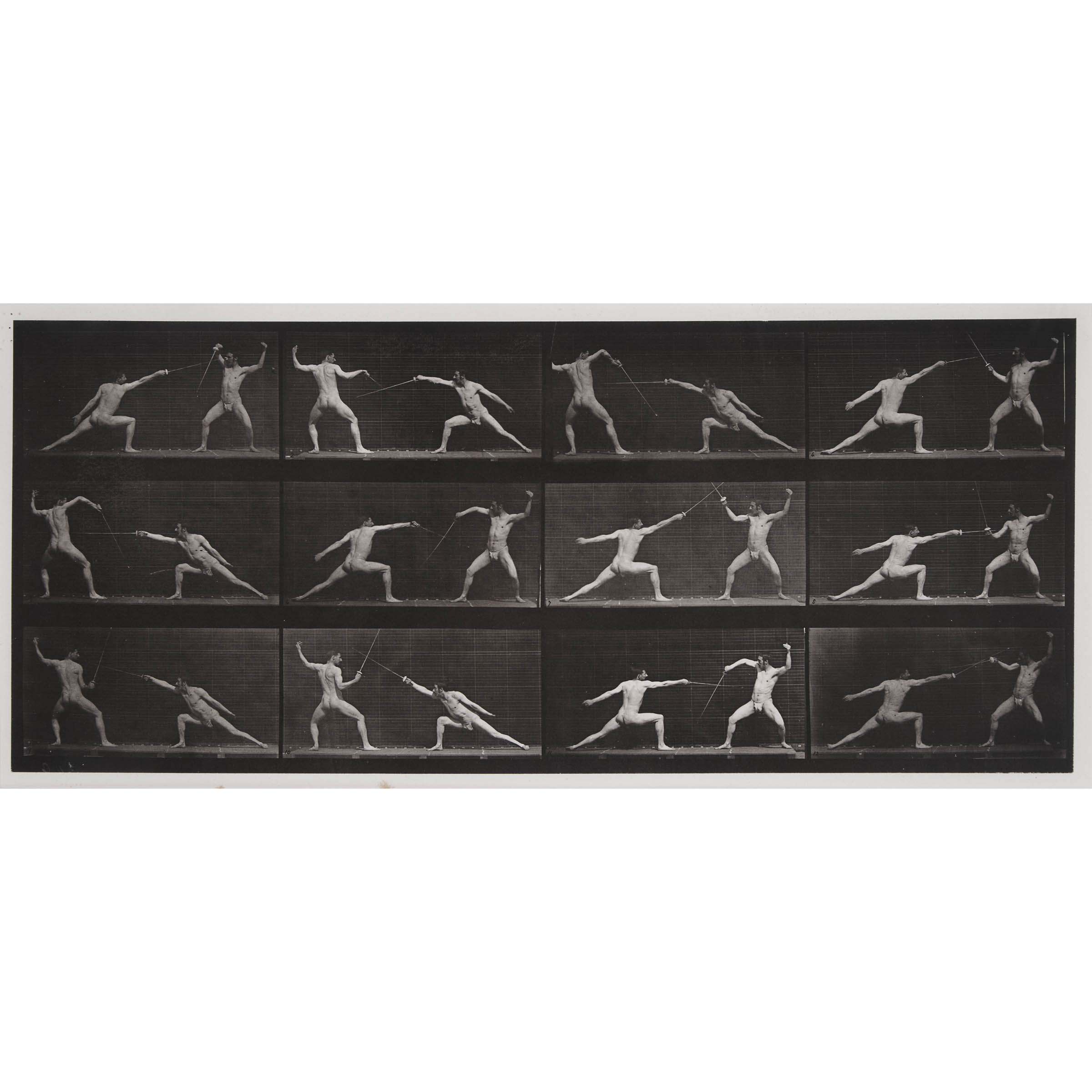 Plate 349 from Animal Locomotion