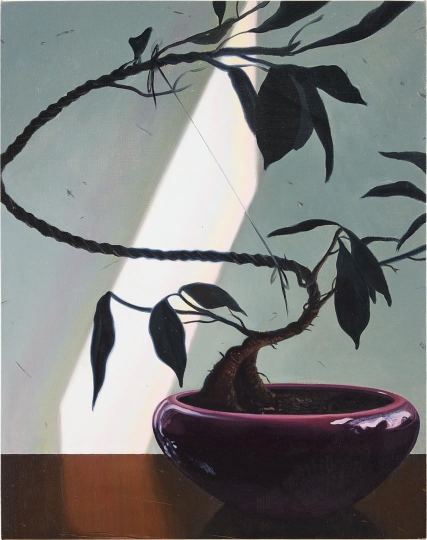 "Bonsai".