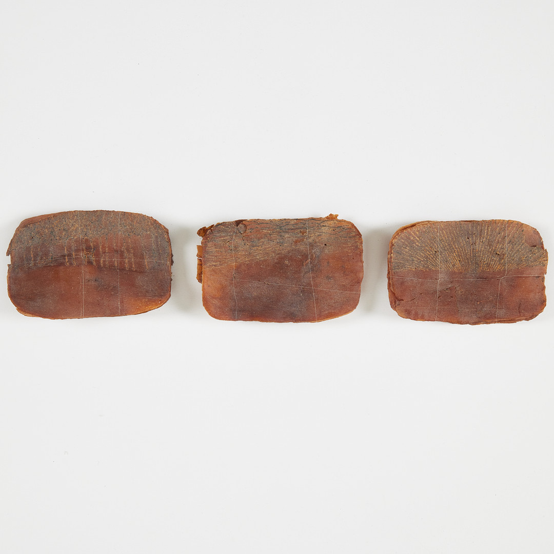 "Three small Sheets of roots burned with incense".