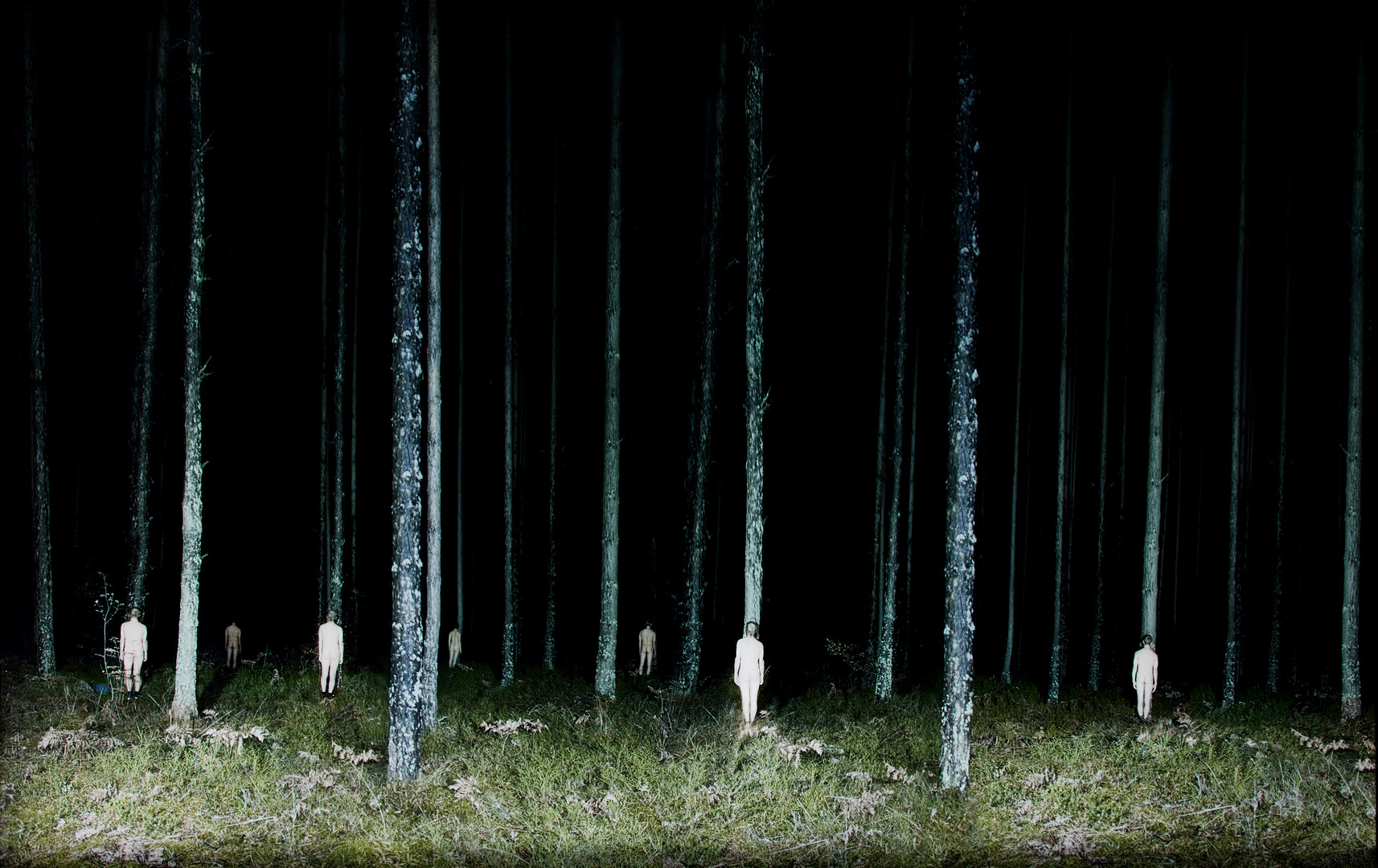 "Retitled V".