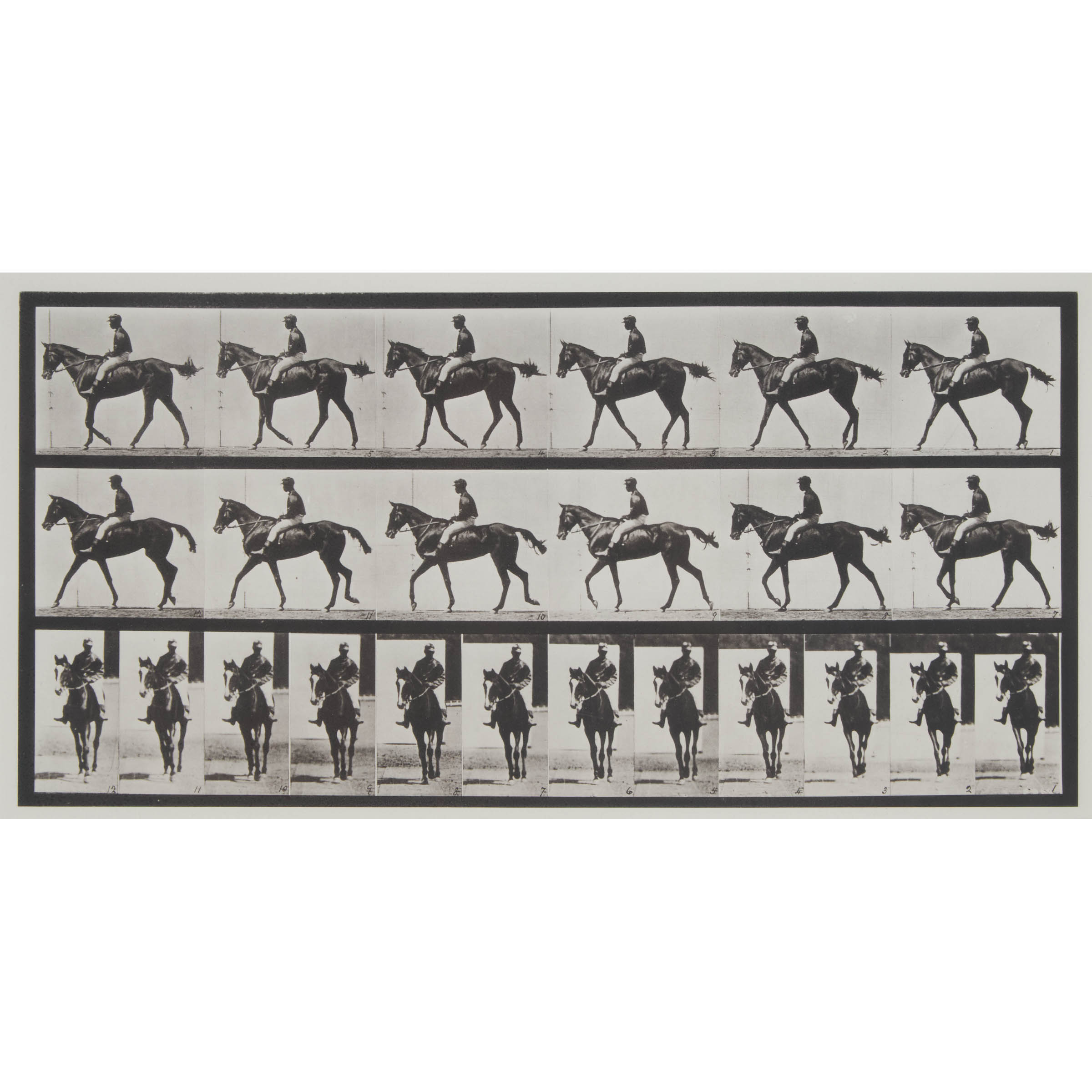 Man Riding Horse, Plate 580 from Animal Locomotion