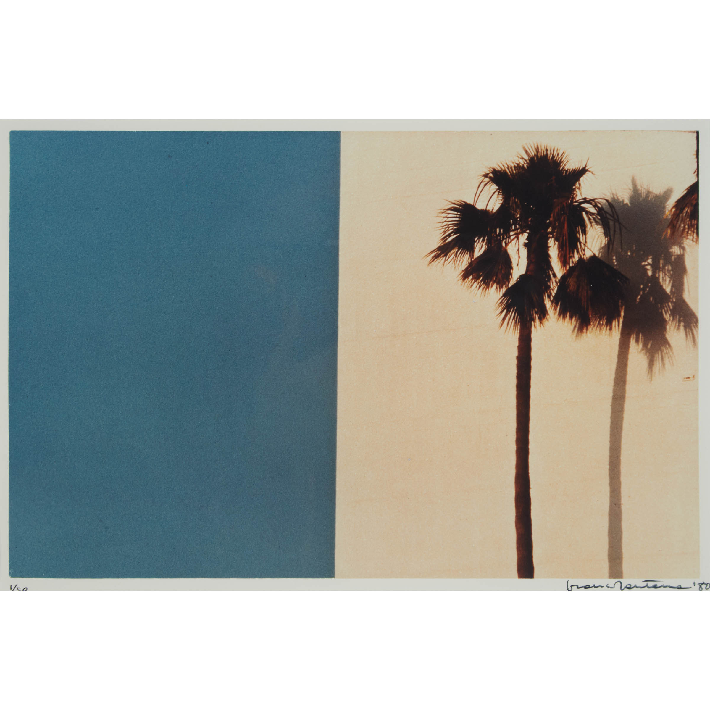 Untitled (Palm Trees)