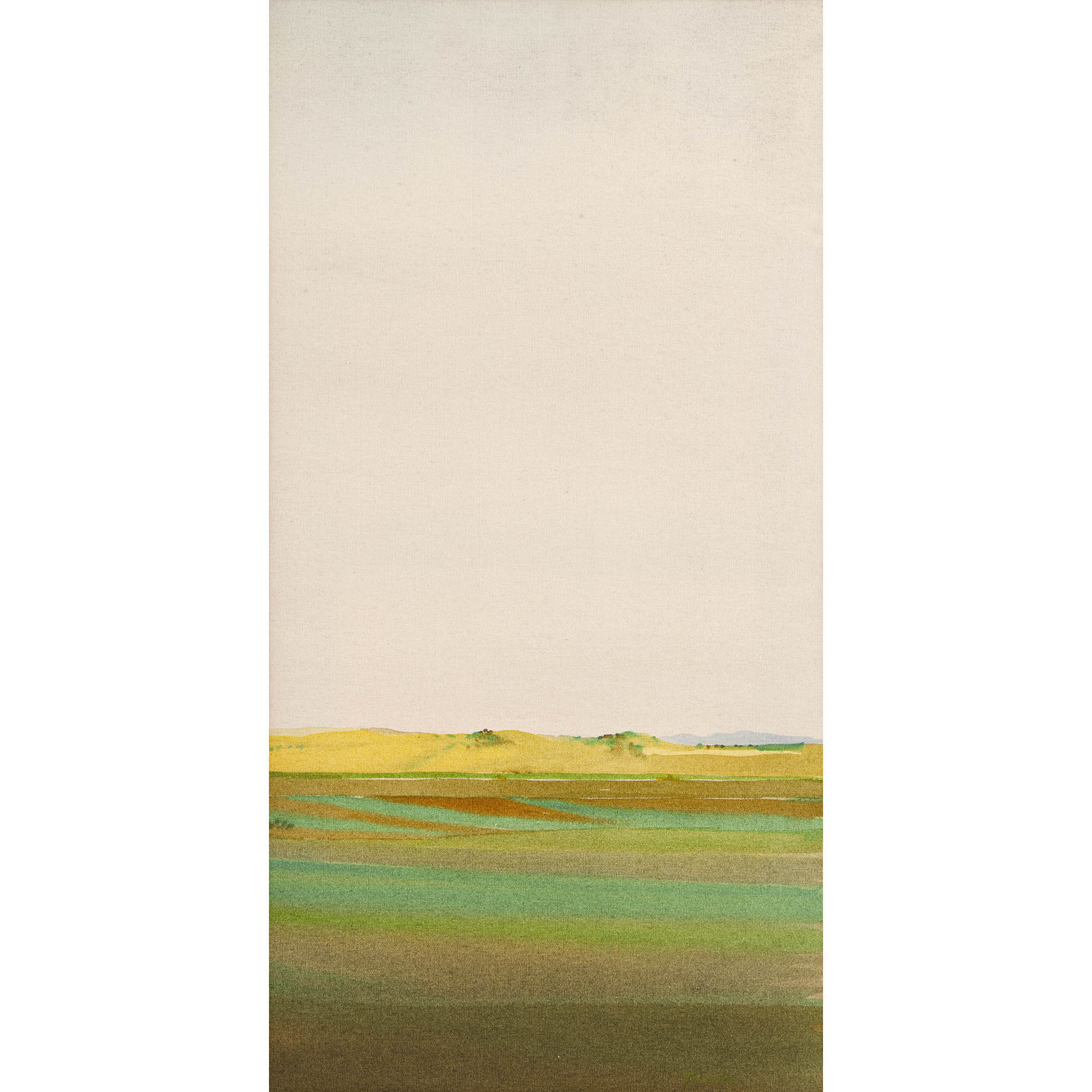 Summer Foothills 5/82