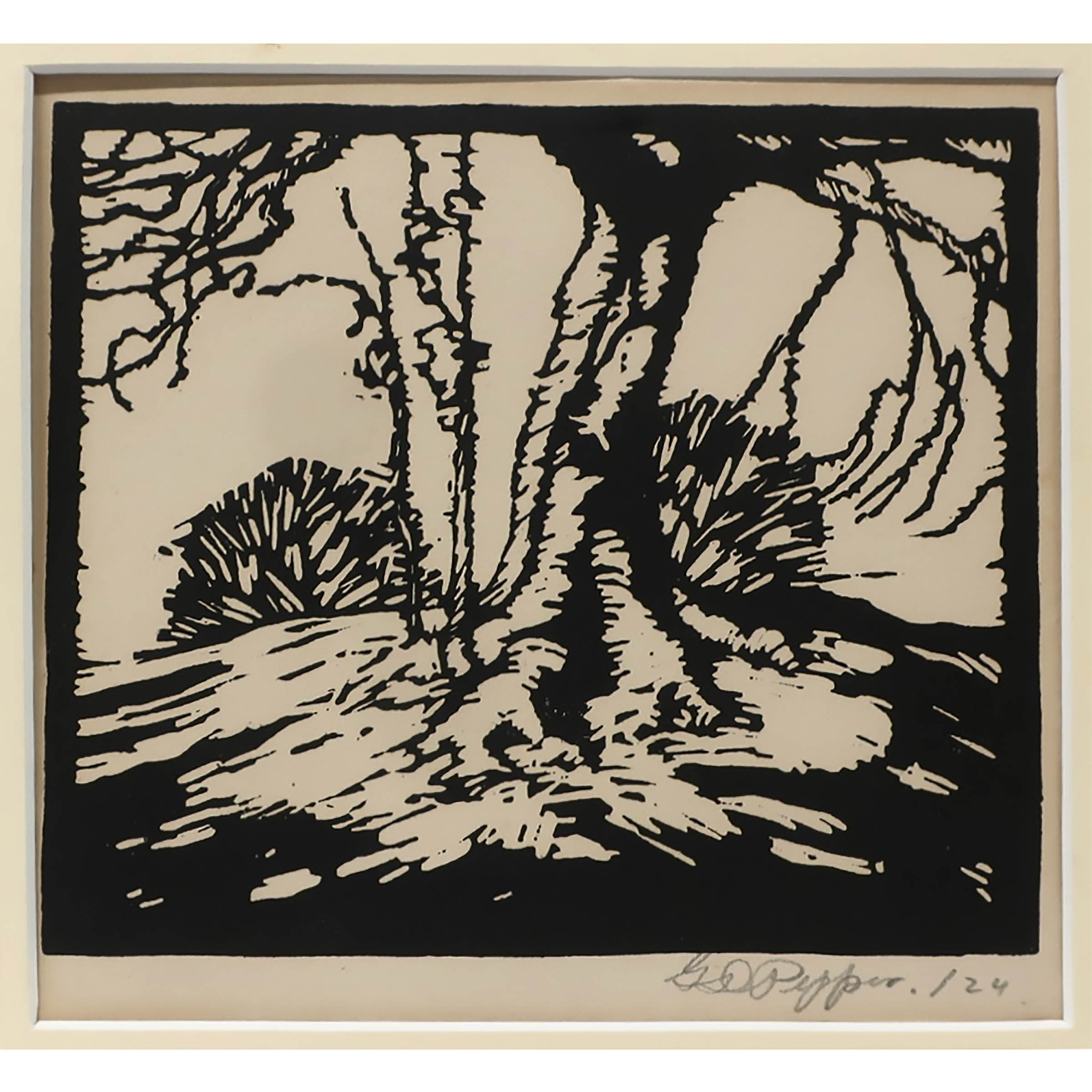 Beech Tree