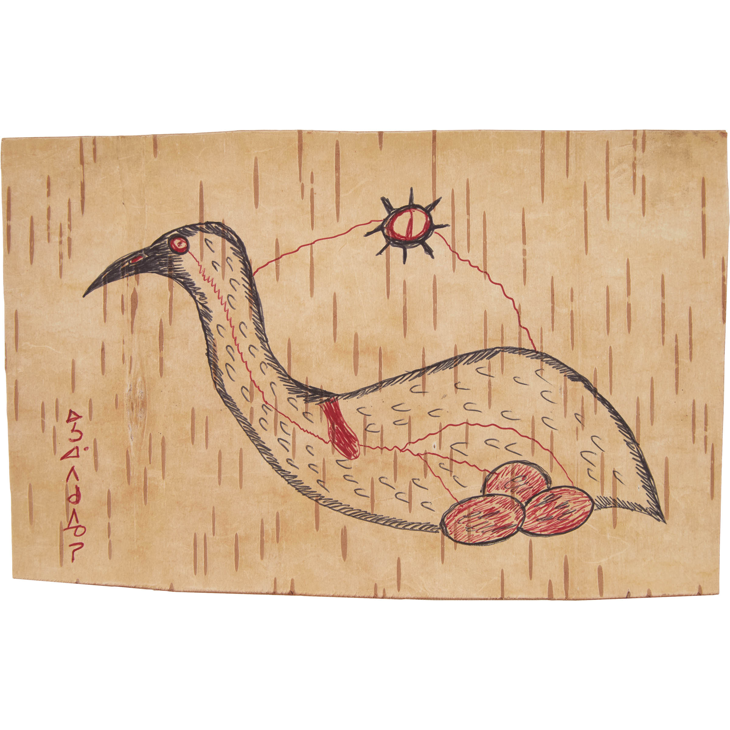 Nesting Loon, Ca. 1966