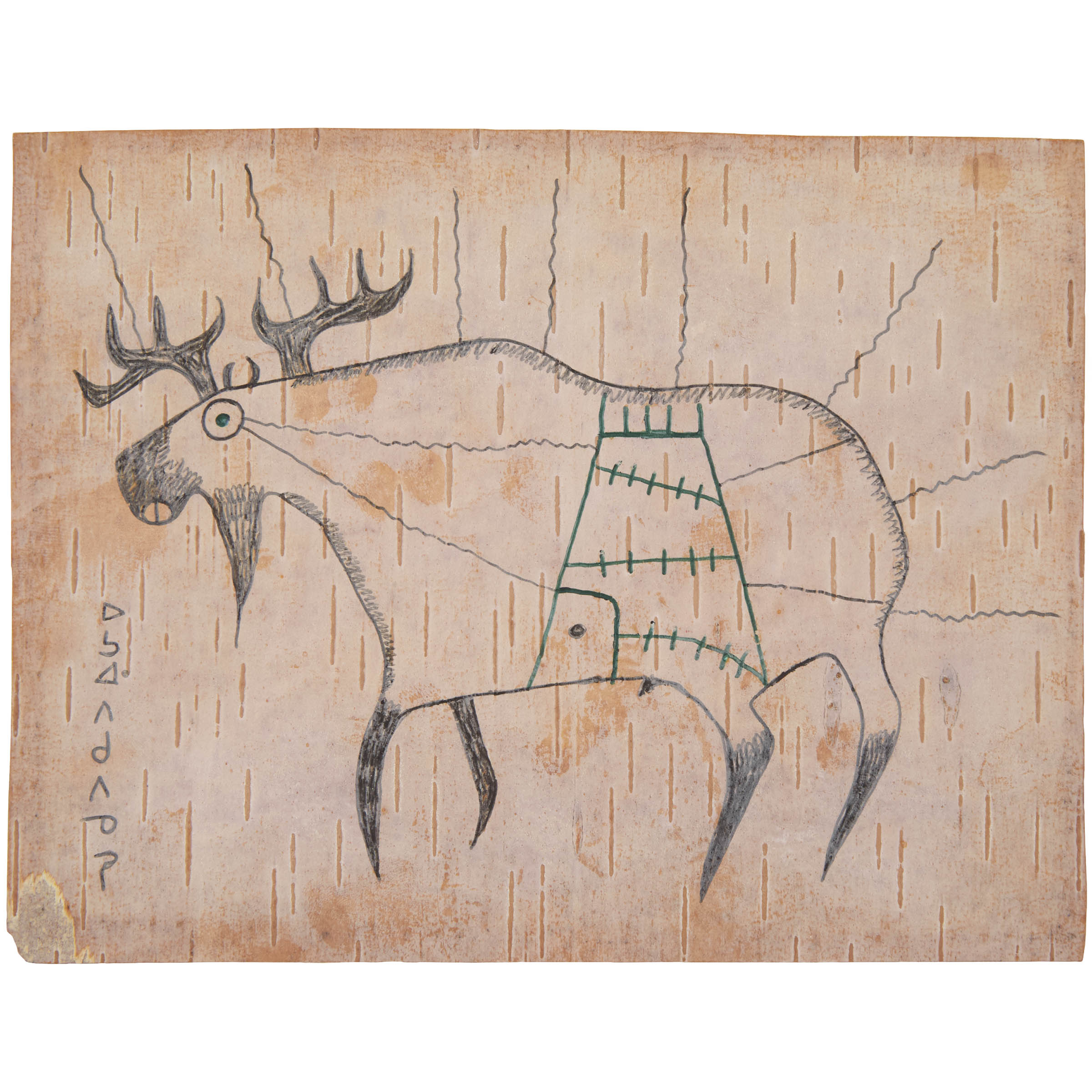 Moose with Shaking Tent, Ca. 1966