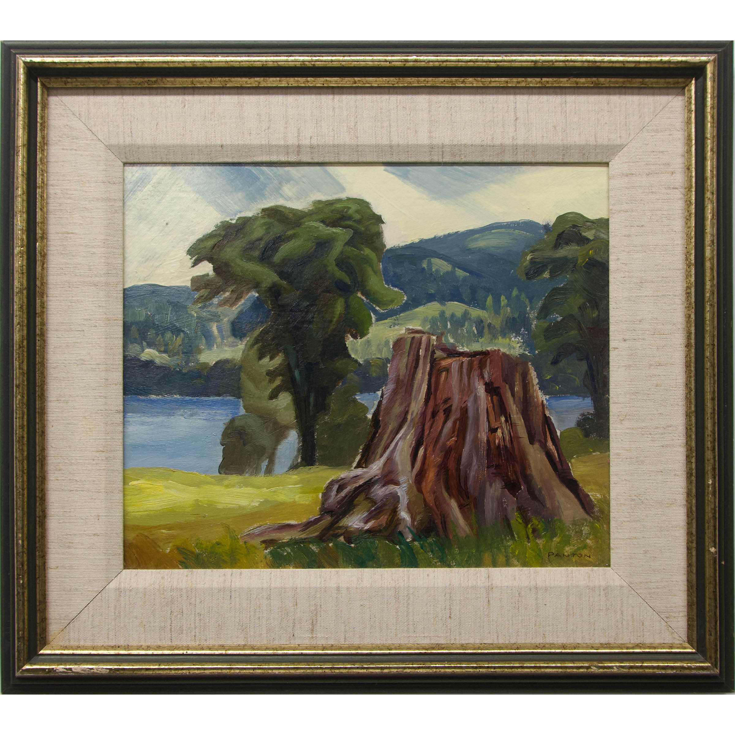 Untitled (the Old Stump)