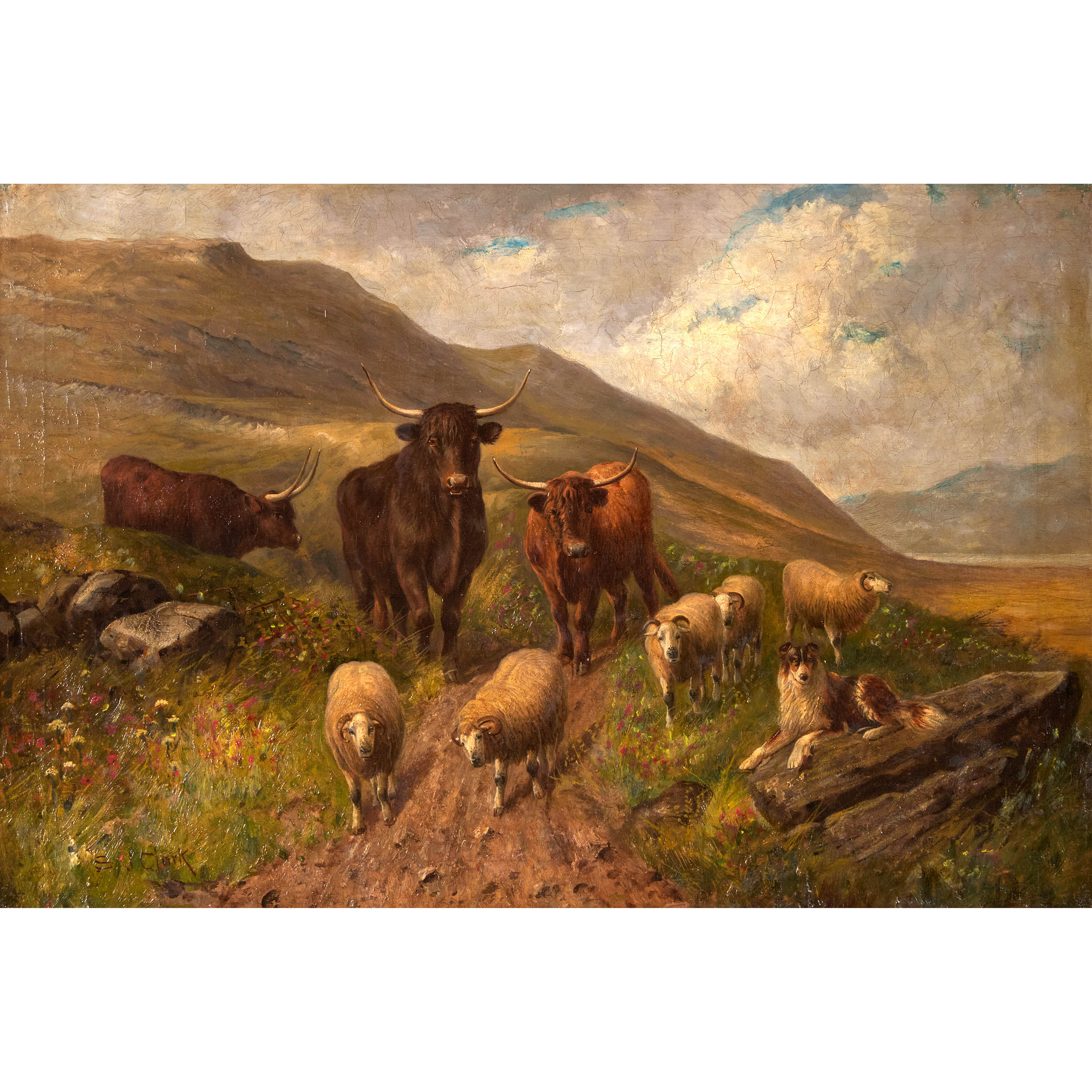 Untitled (Highland Cows and Friends)