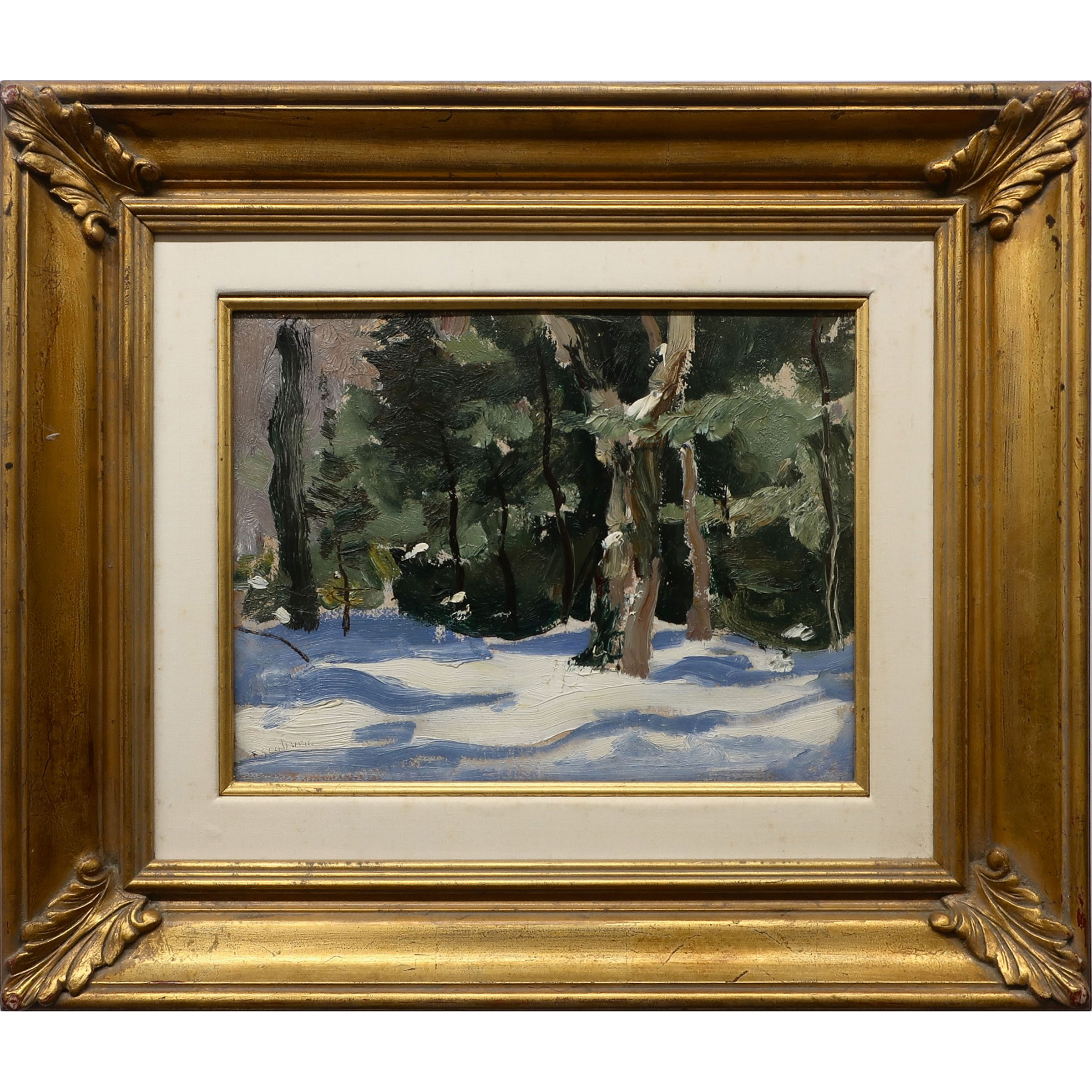 Winter Sunlight at the Forest Edge