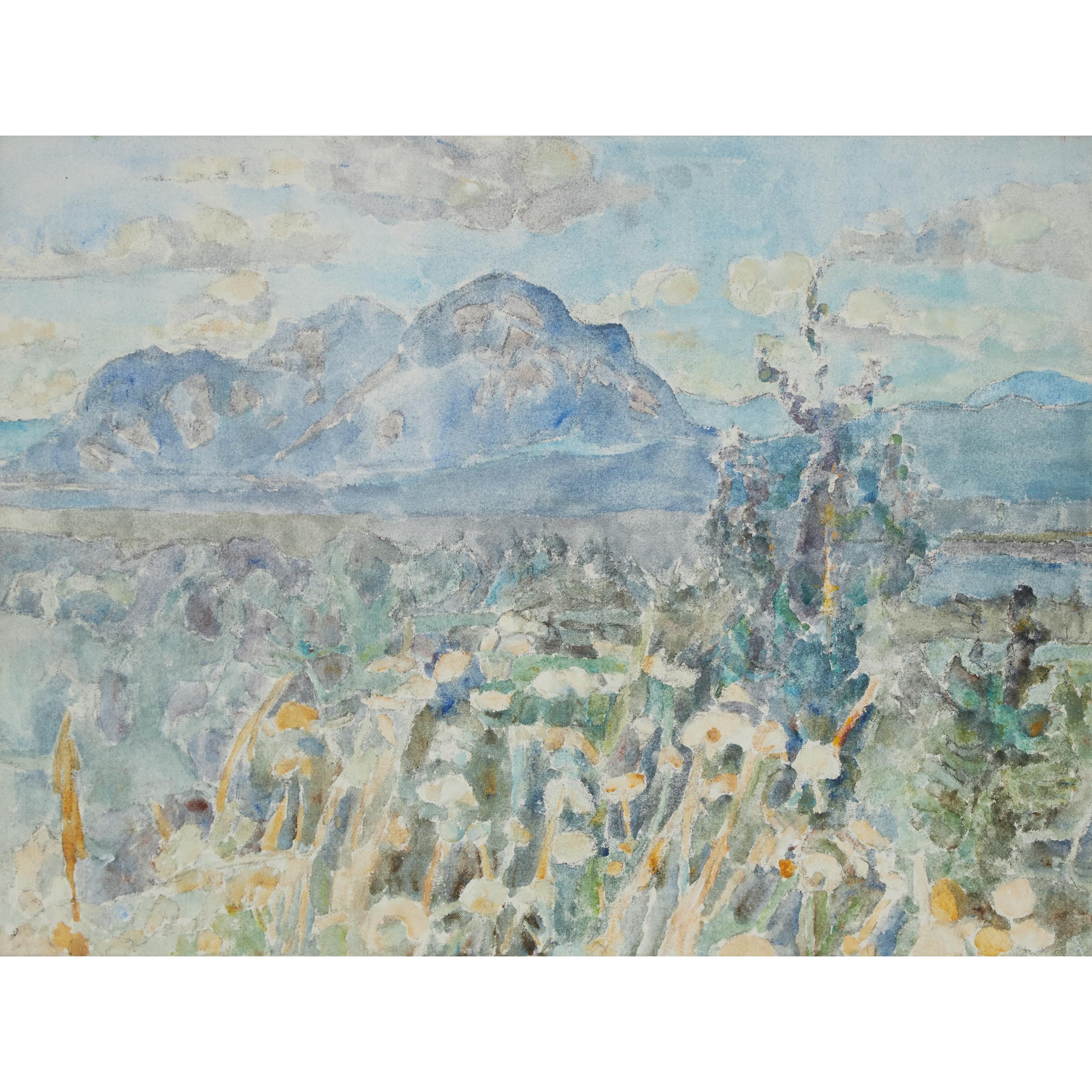 Mountain Series 2 (White Daisies V. 1)