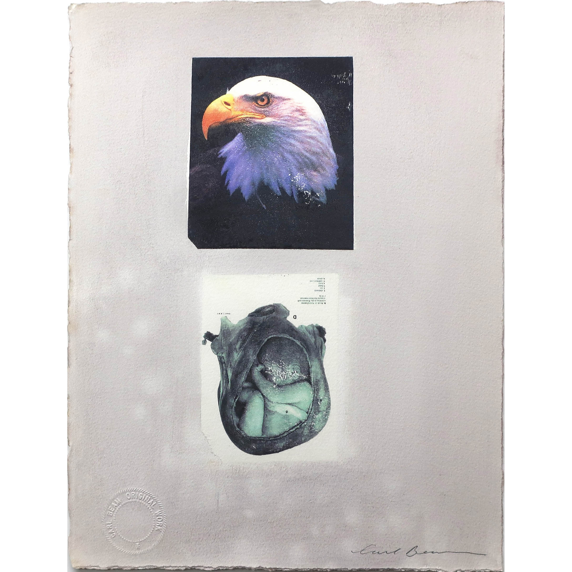 Bald Eagle/Unborn