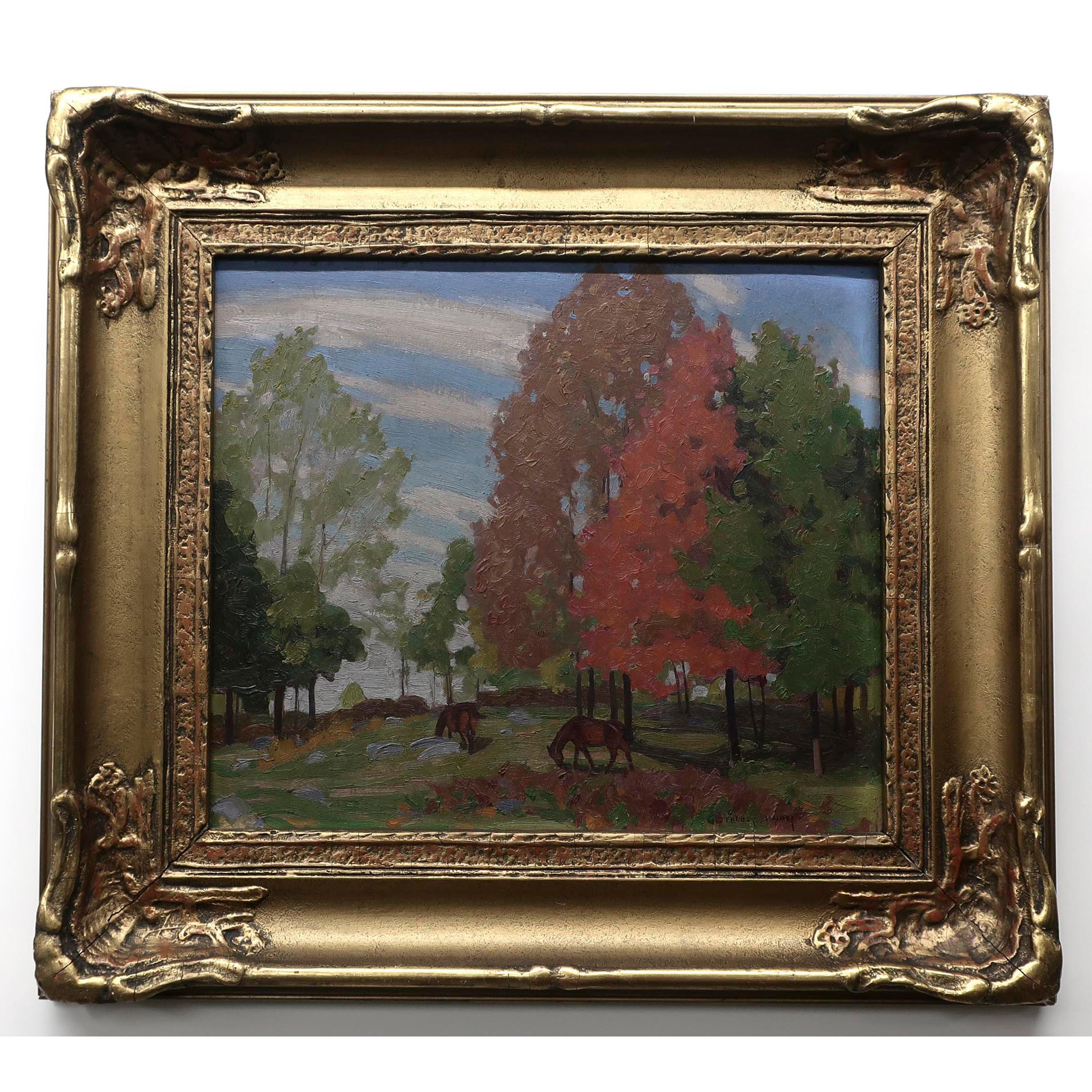 Autumn Pasture Near Haliburton