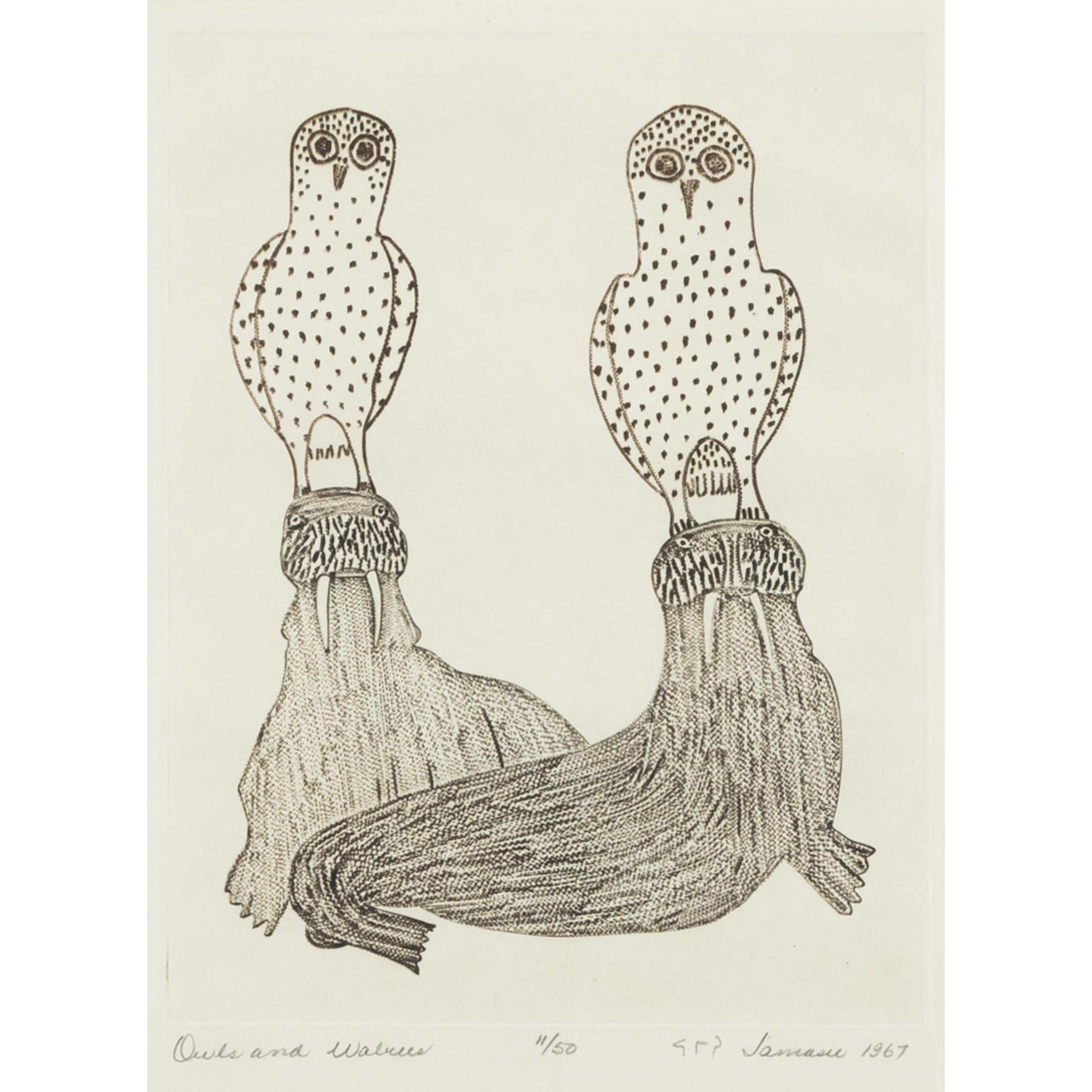 Owls and Walrus
