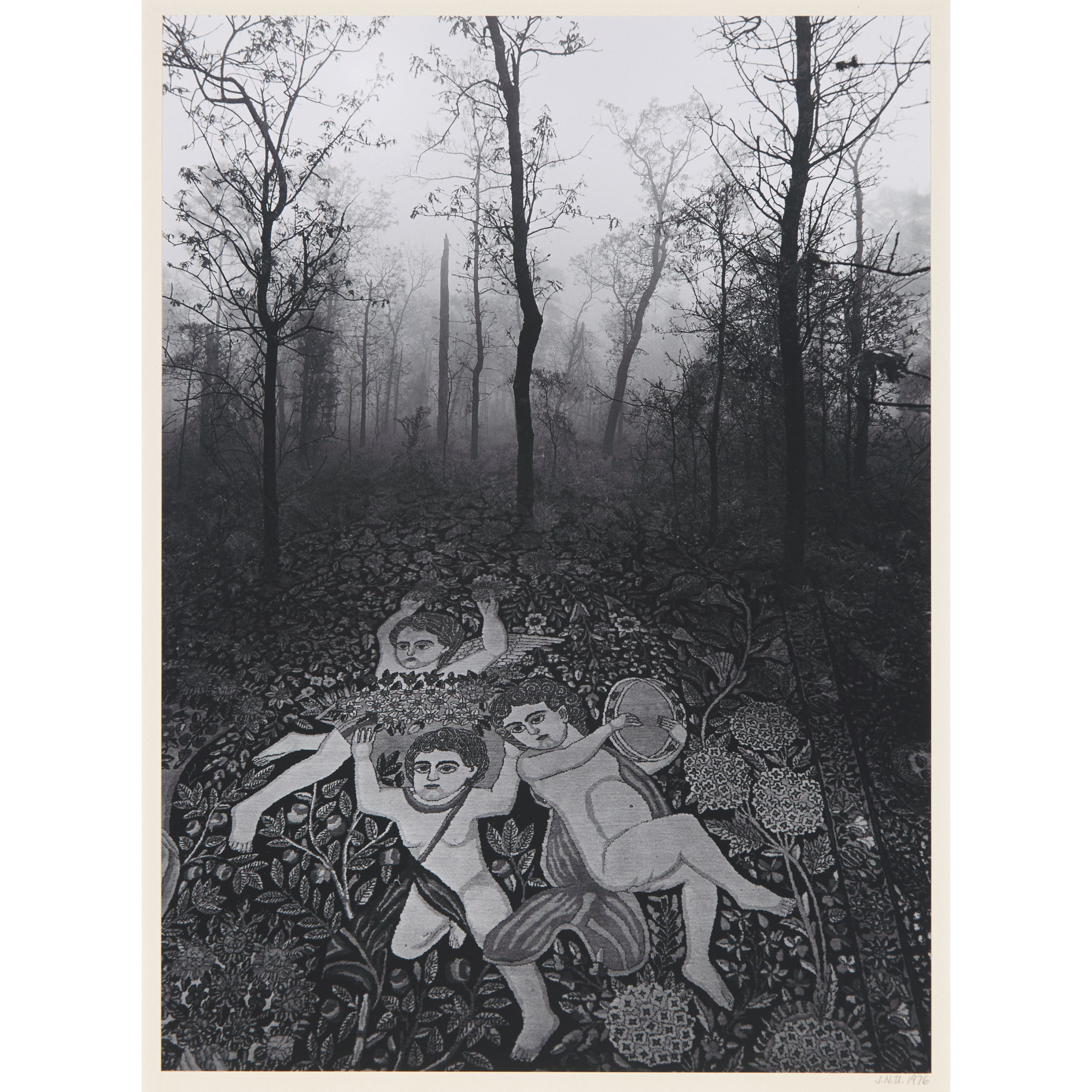 Untitled (Forest Carpet)