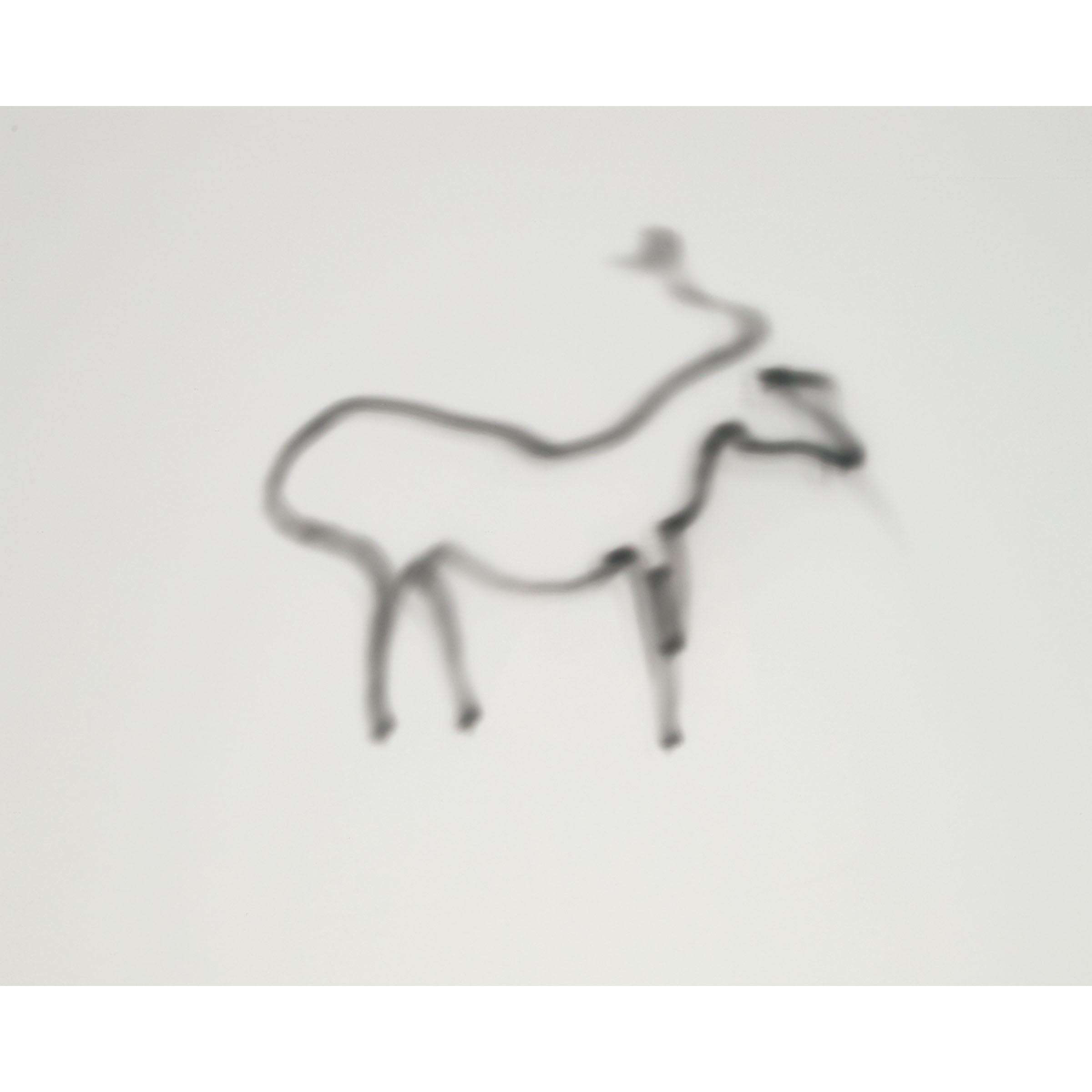 Light Animal No. 1