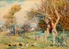 Garden at Kensington Road, South Yarra, 1909