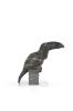 Sophie Dabet, dite SO (Née en 1972) Toucan Toco, 2010