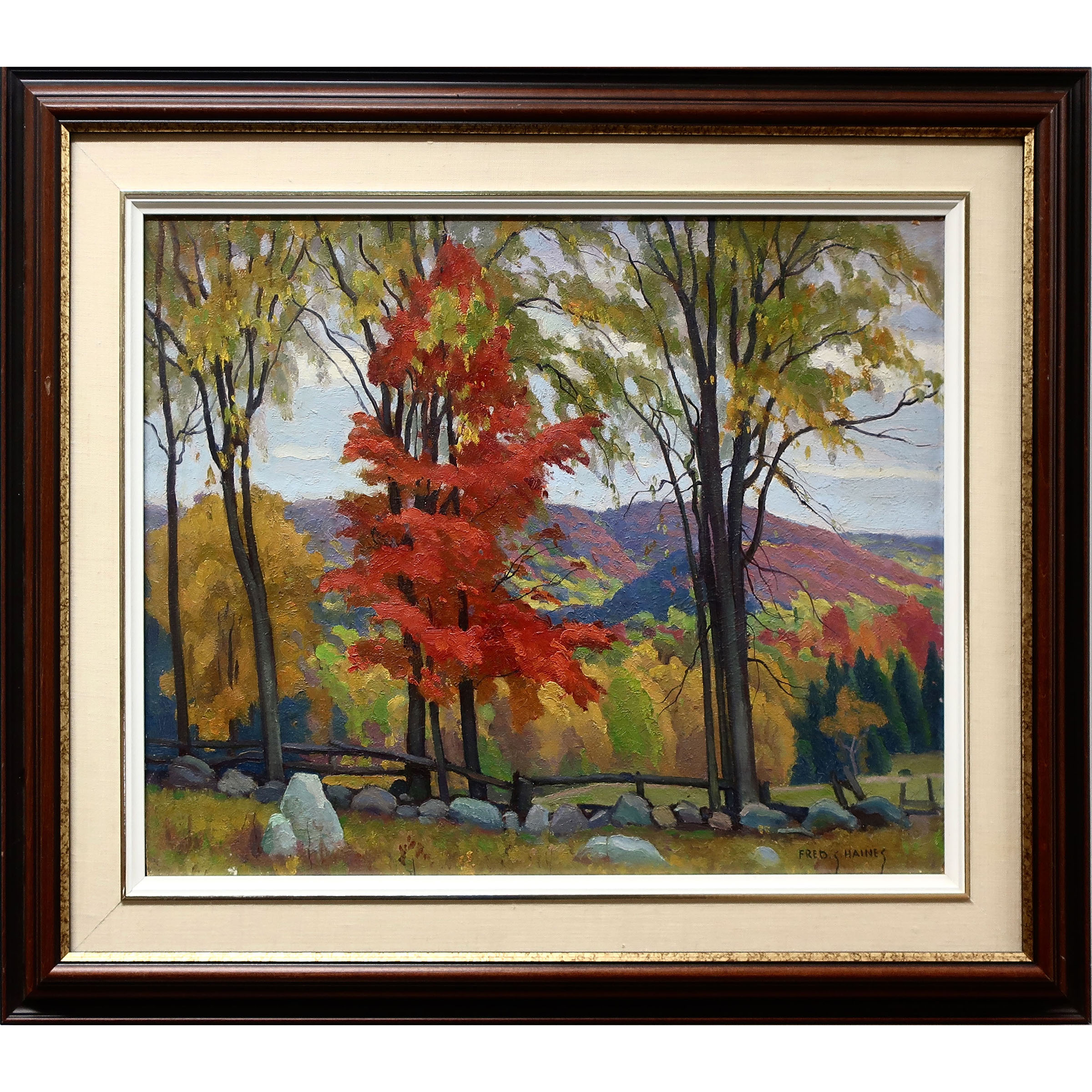 Flaming Maple