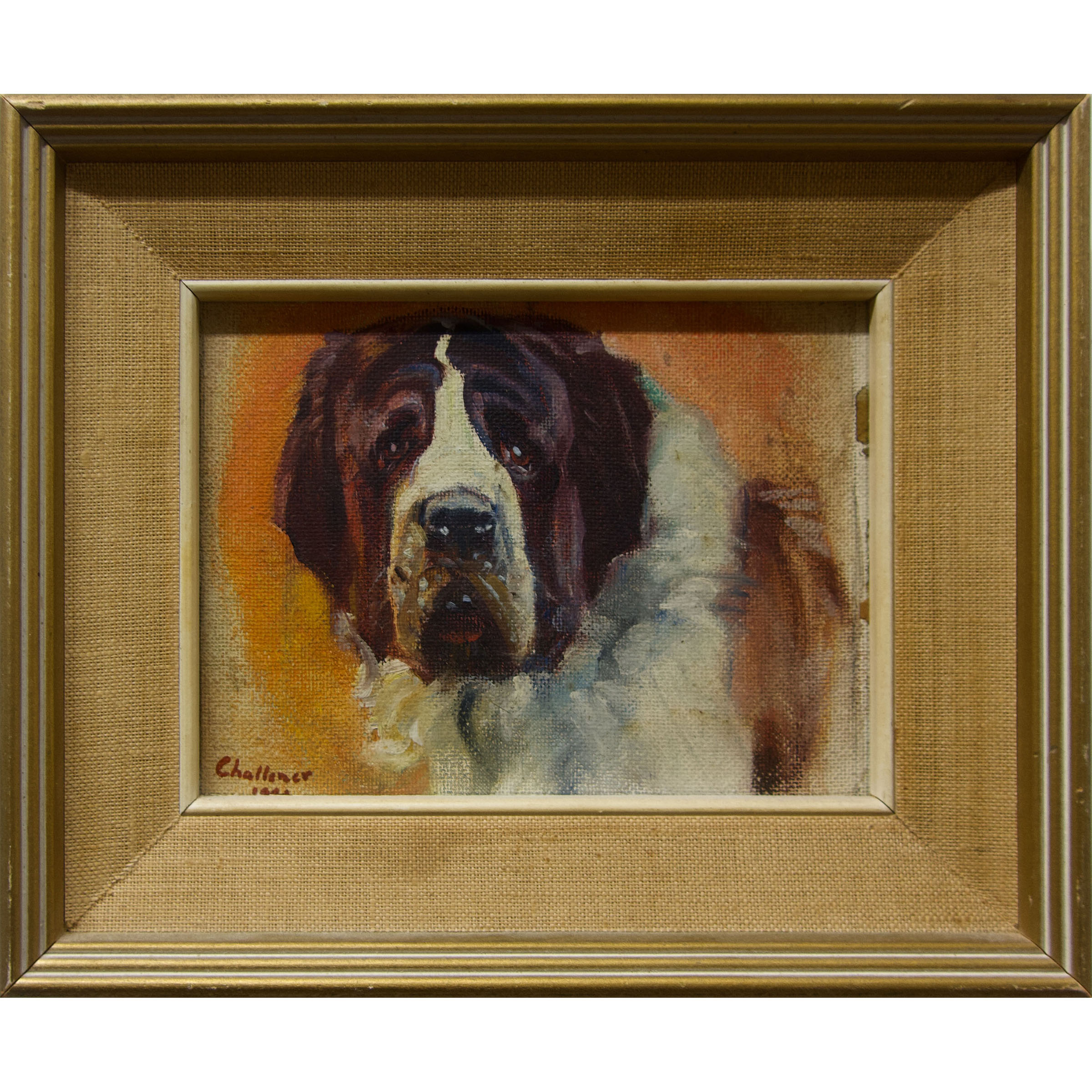 Saint Bernard