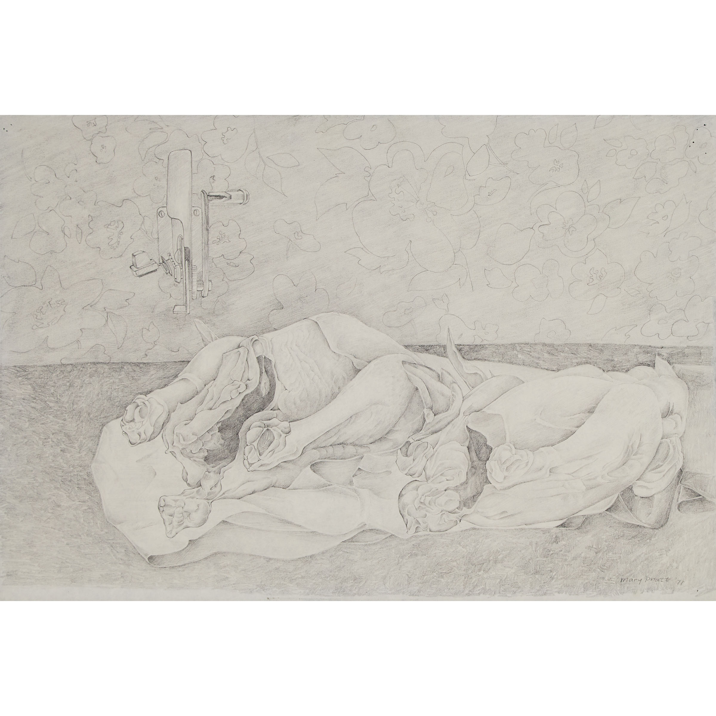 Study for Eviscerated Chickens