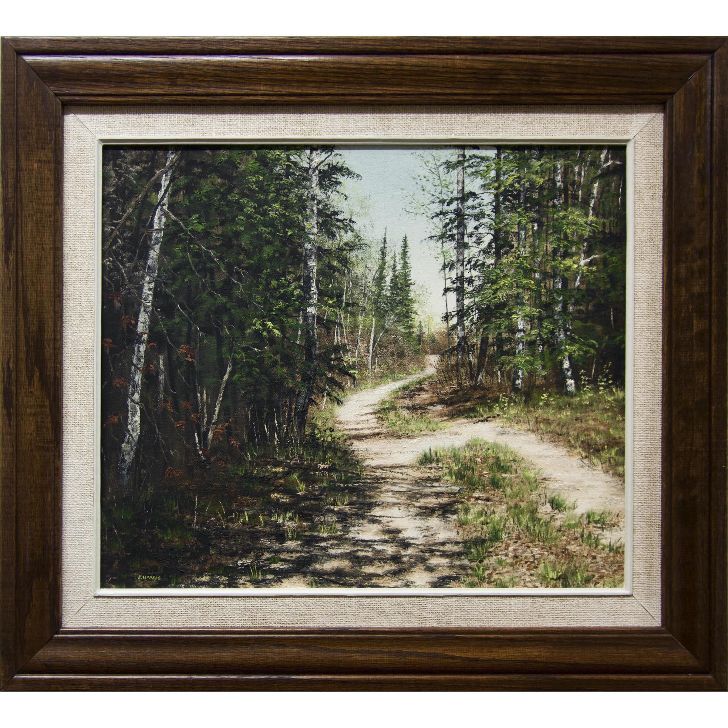 Woodland Byway (Kendall Inlet, Clearwater Bay, Ontario)