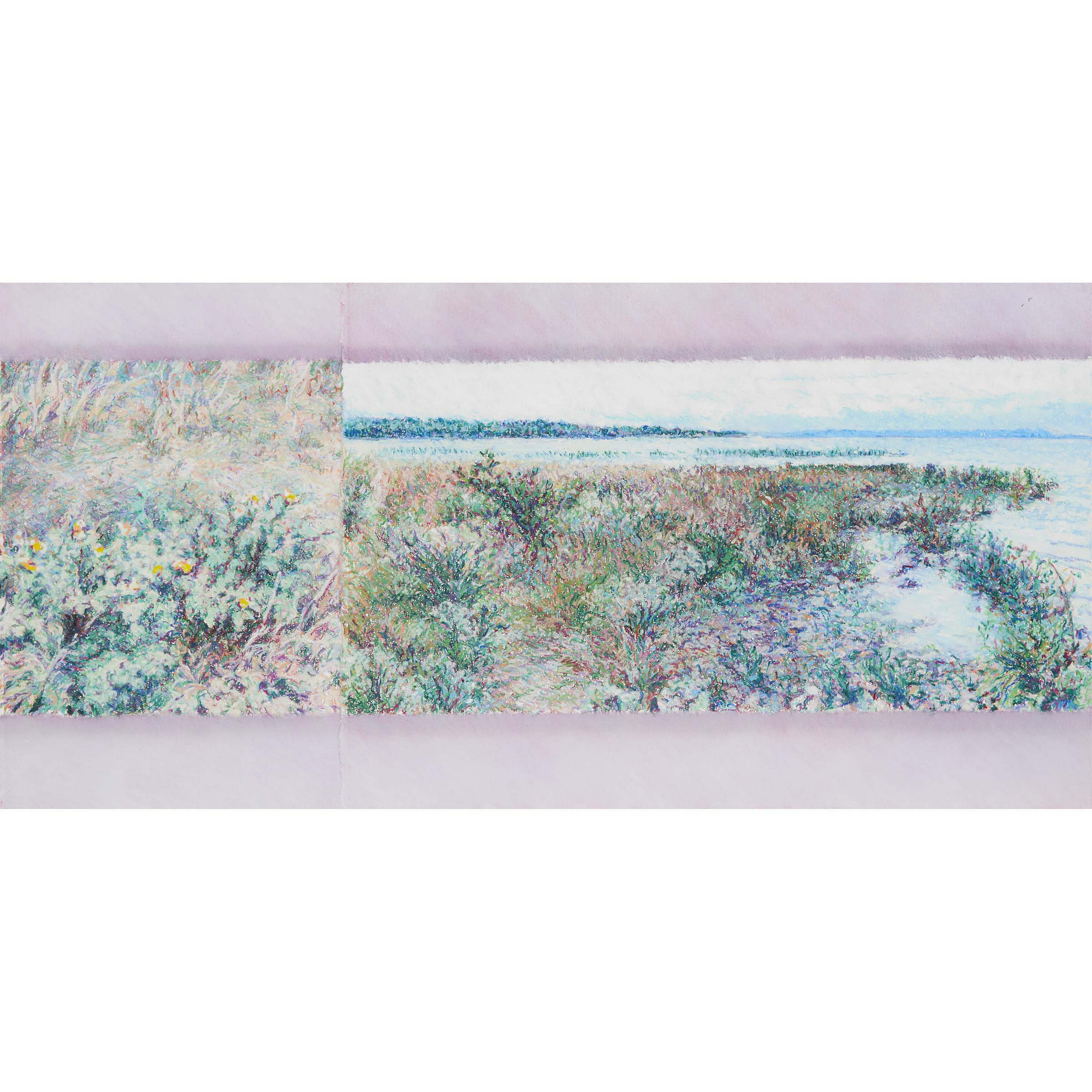 Untitled (Wildflowers in Bloom Near Shoreline)
