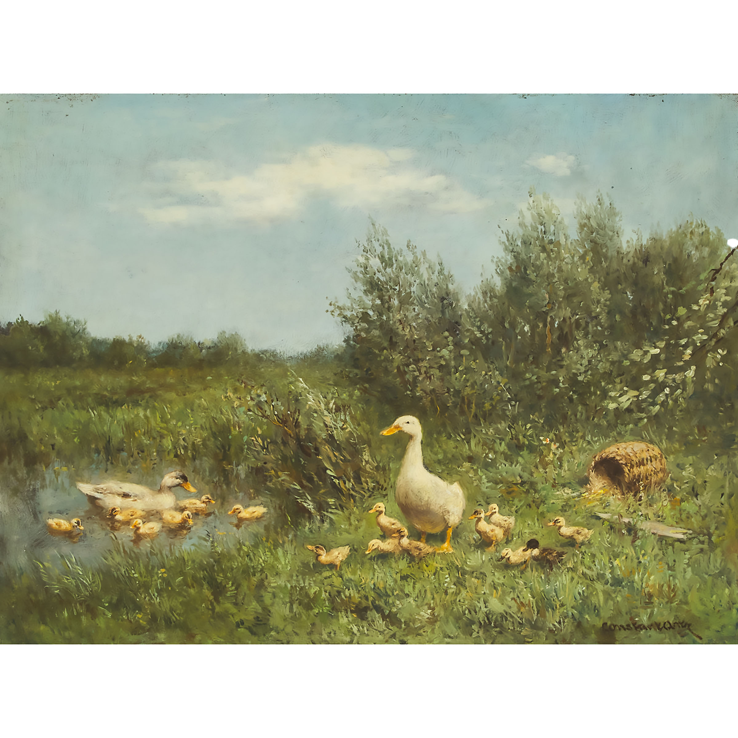 Ducks with Their Ducklings
