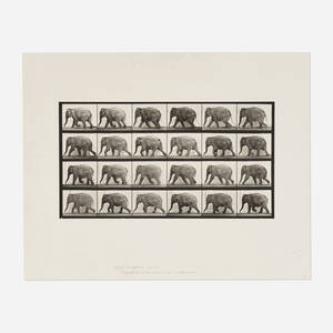 Animal Locomotion, Plate 733