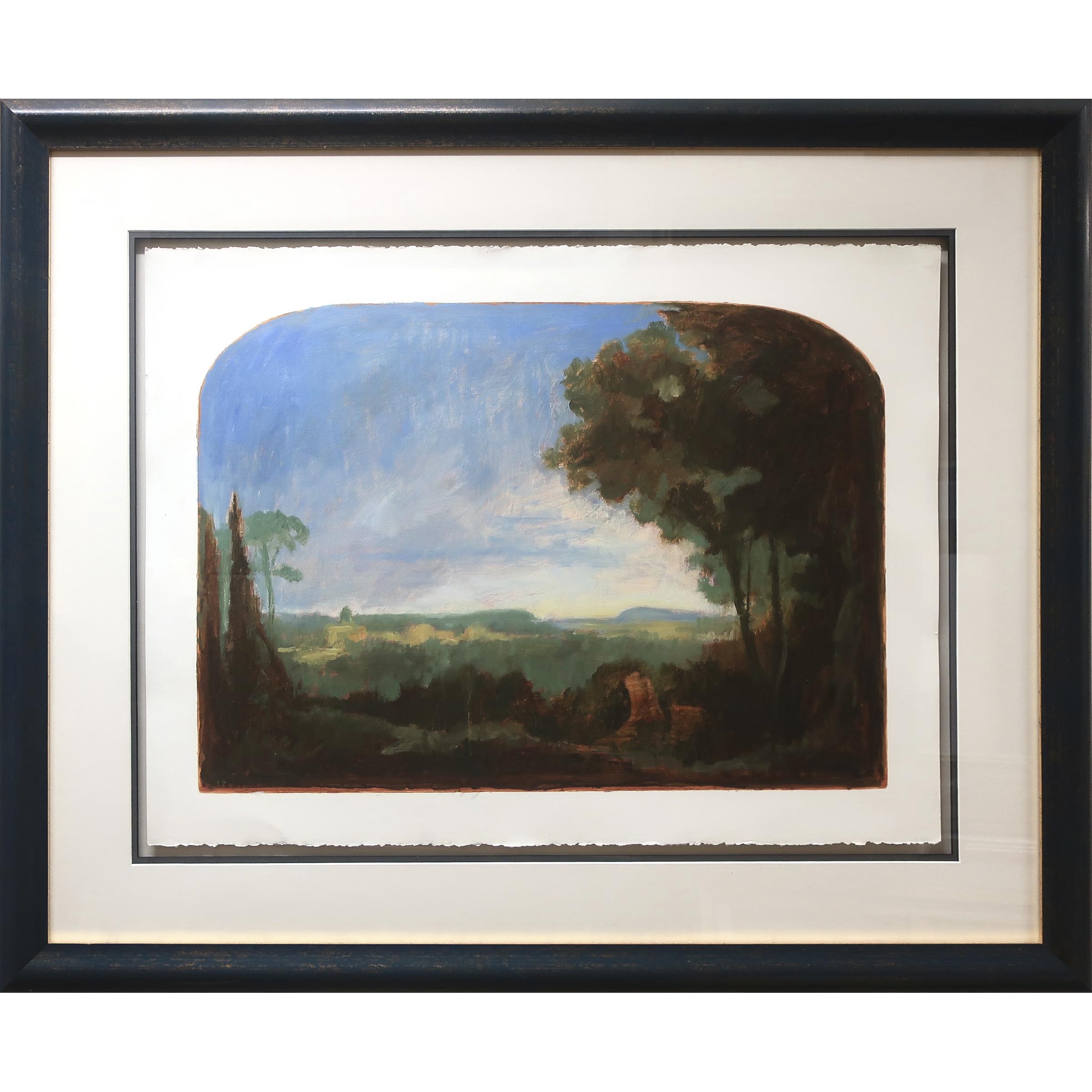 Untitled (Extensive Landscape View)