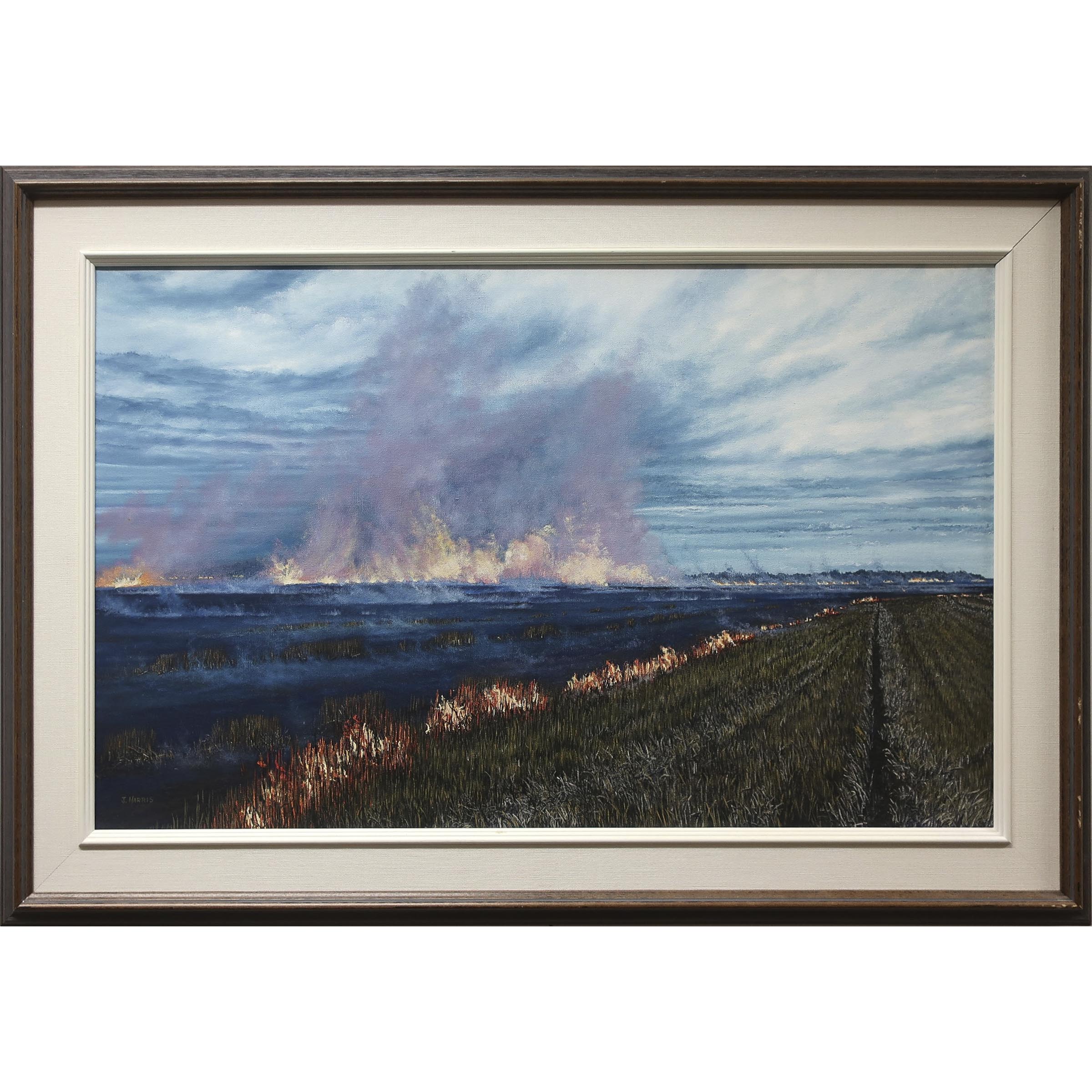 Burning Off the Straw, Grosse Isle, Manitoba