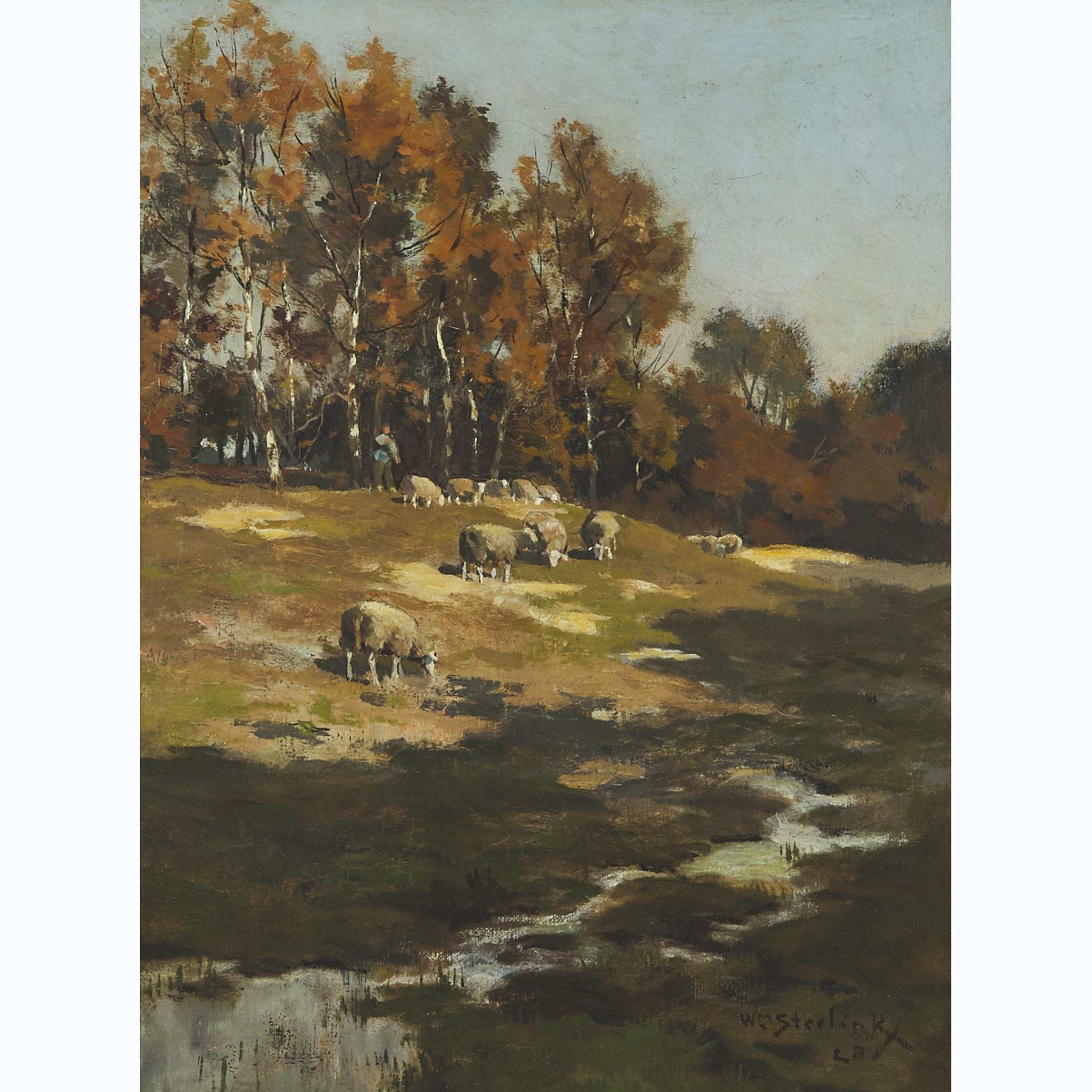 Sheep and Shadows (Grazing Sheep)