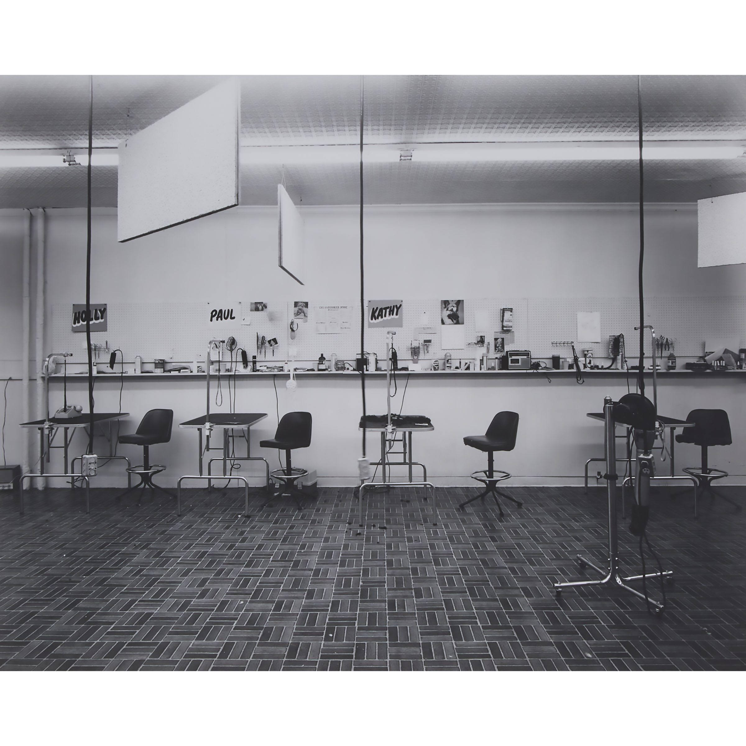 Classroom in a Dog Grooming School, Minneapolis