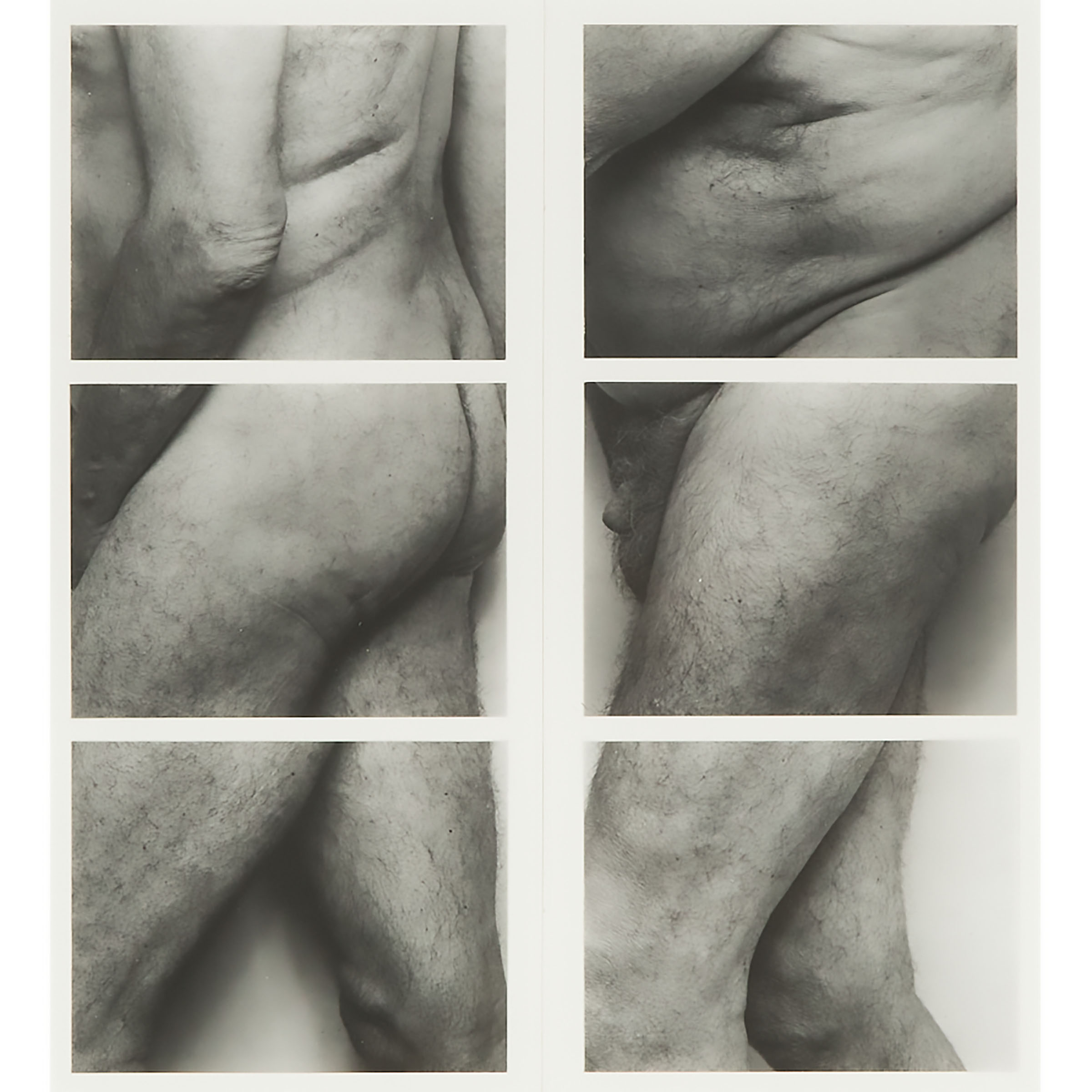 Self Portrait (Frieze, No. 6, Two Panels)
