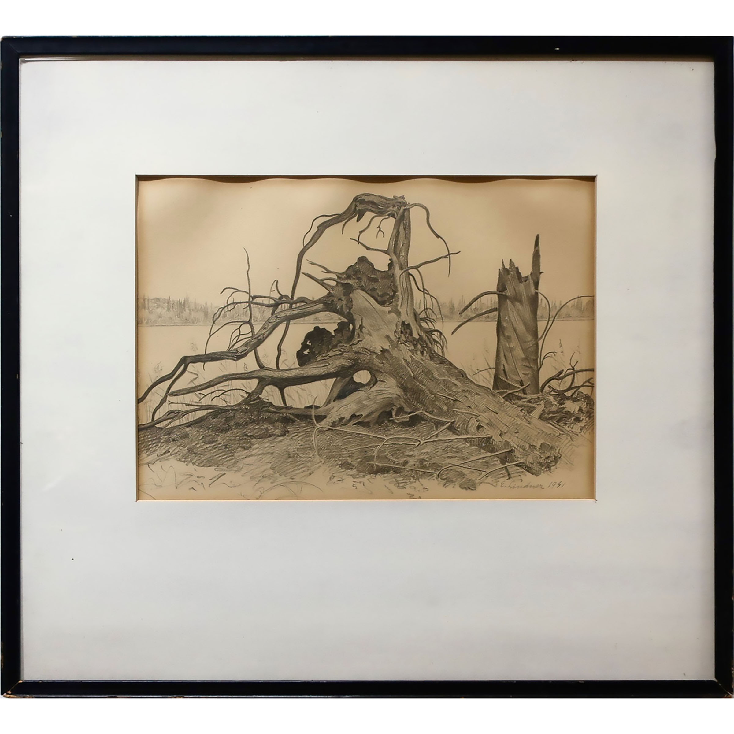 Untitled (Deadwood)