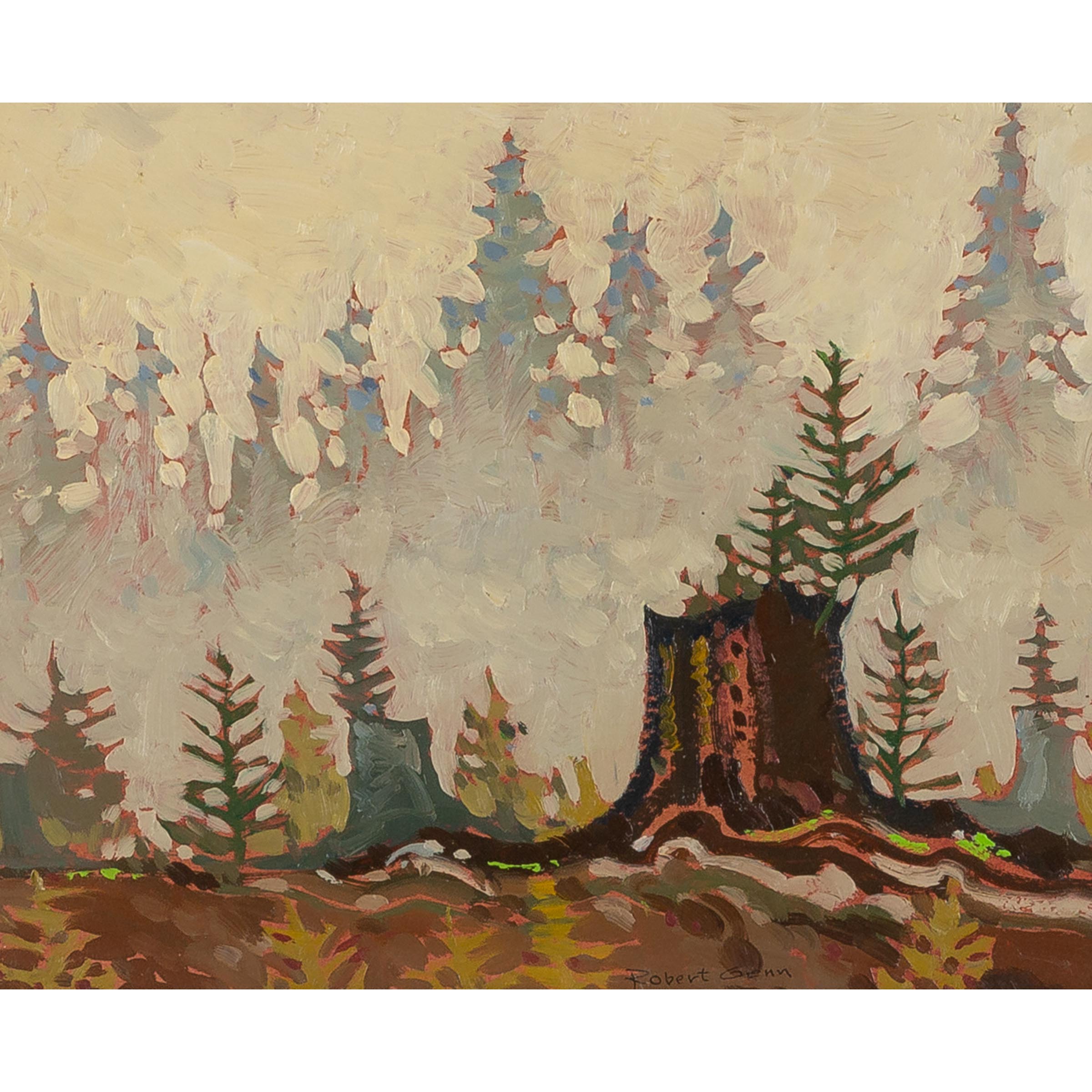 Fog in the Forest