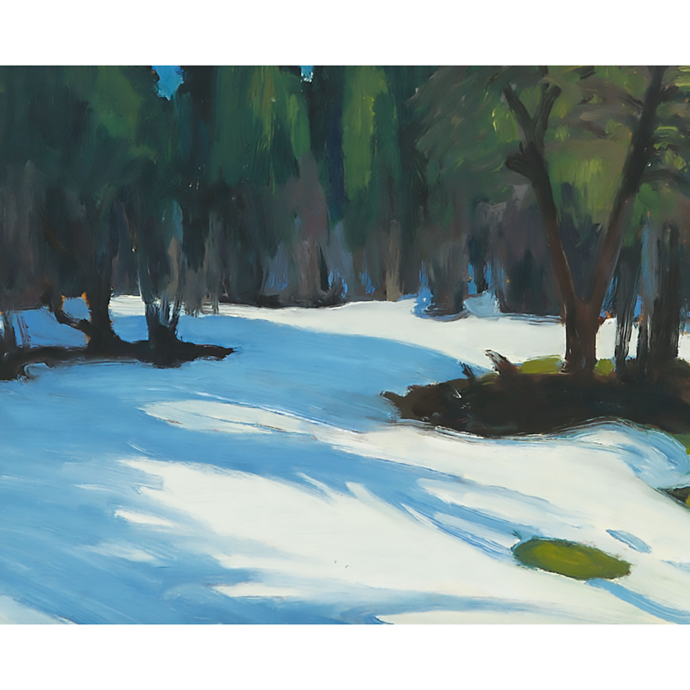 Snowy Landscape