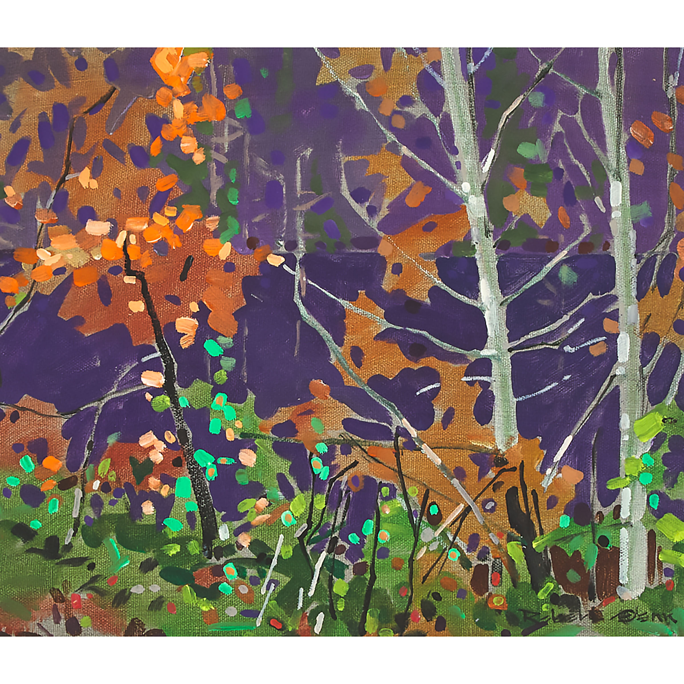 Dark Inlet Canoe Lake, Algonquin Park