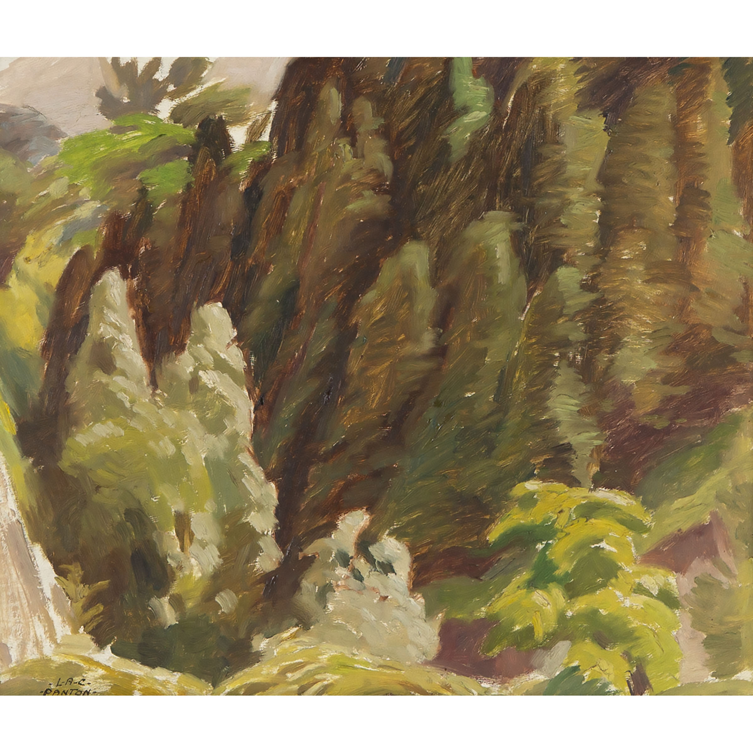 Forest Interior