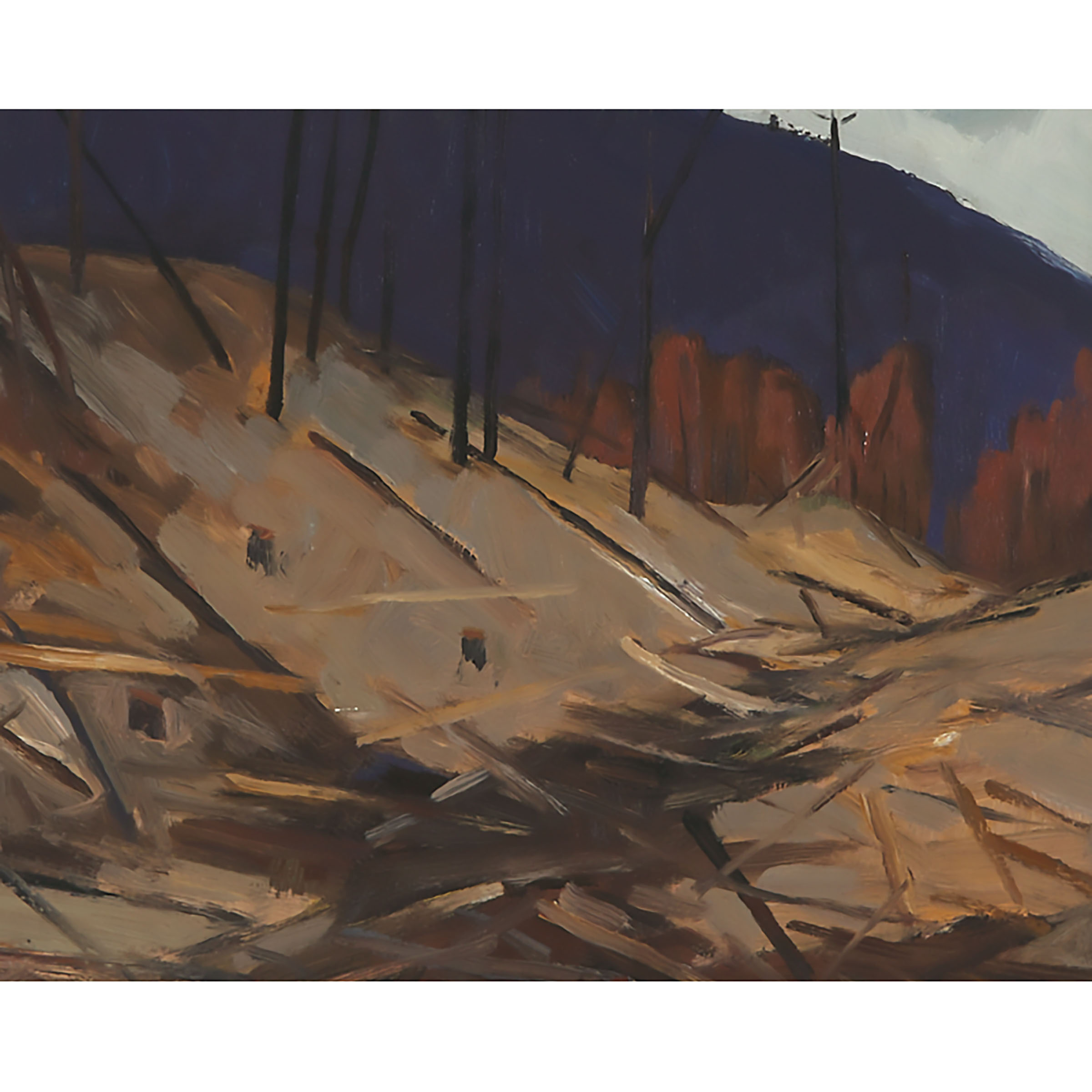 Forest Logging