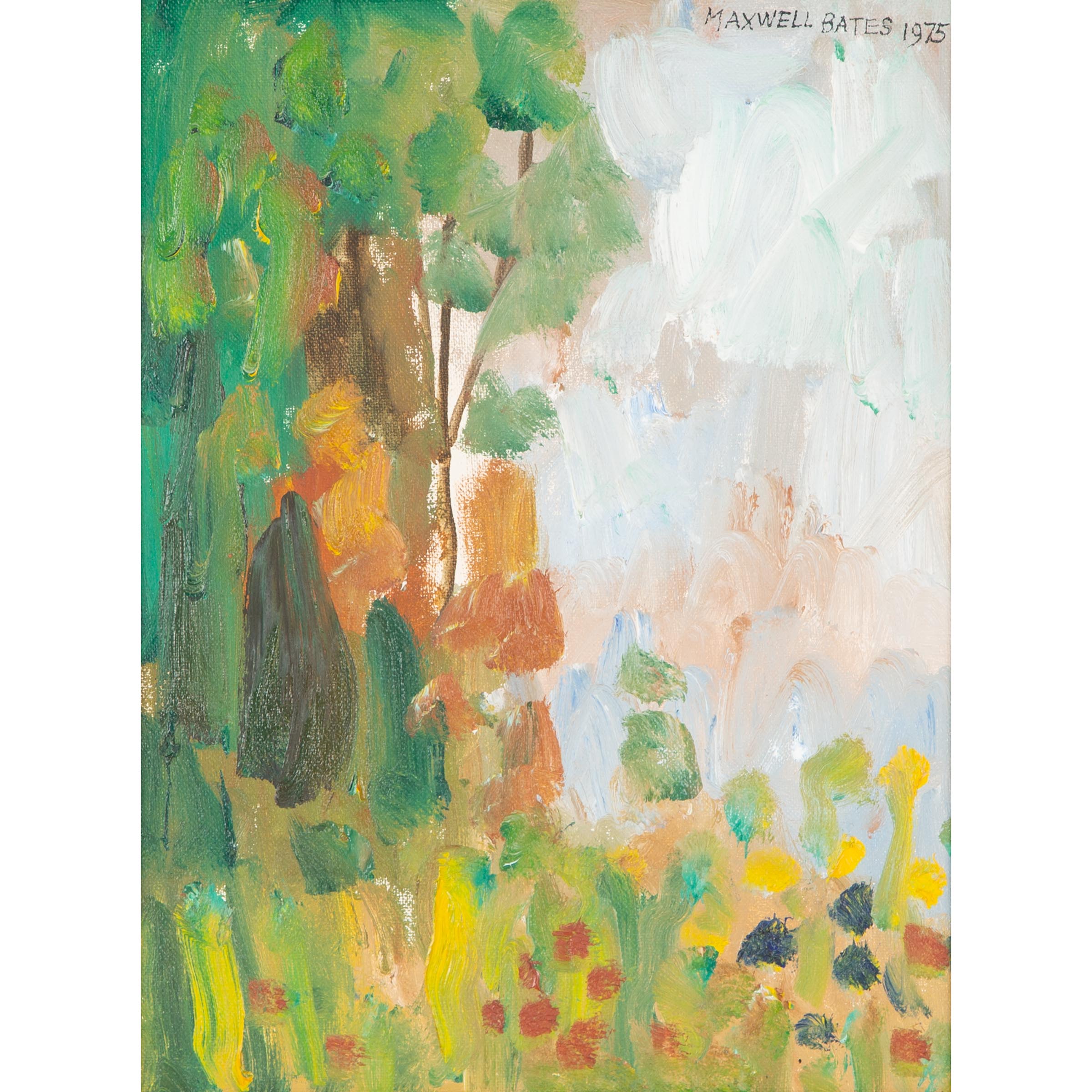 Saanich Landscape