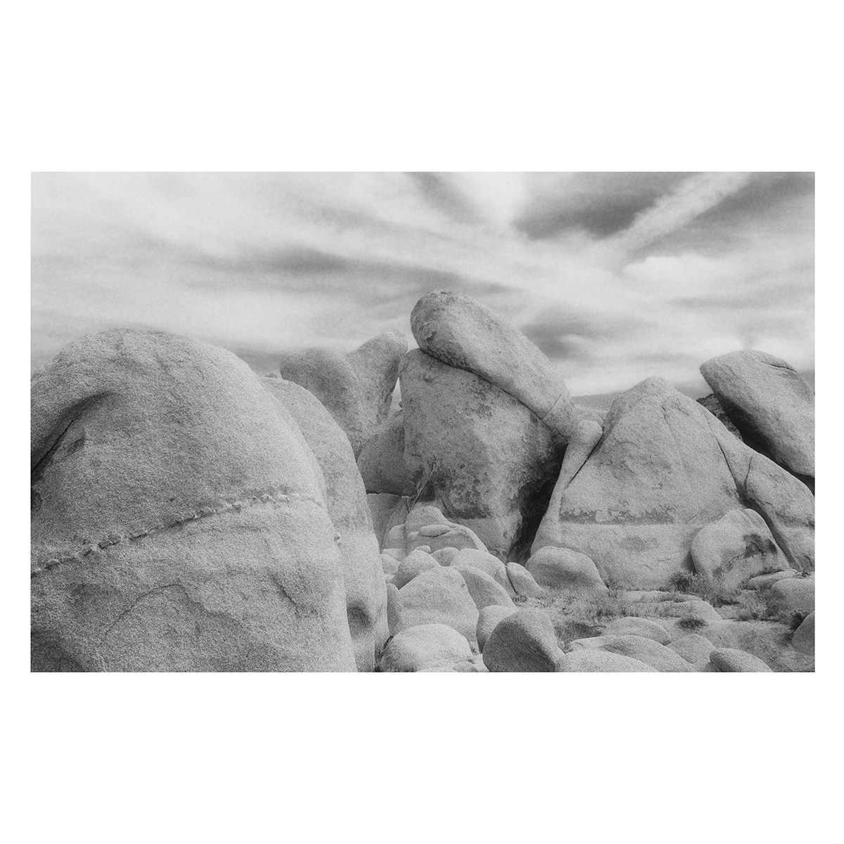 Susan Close, Joshua Tree National Park, California