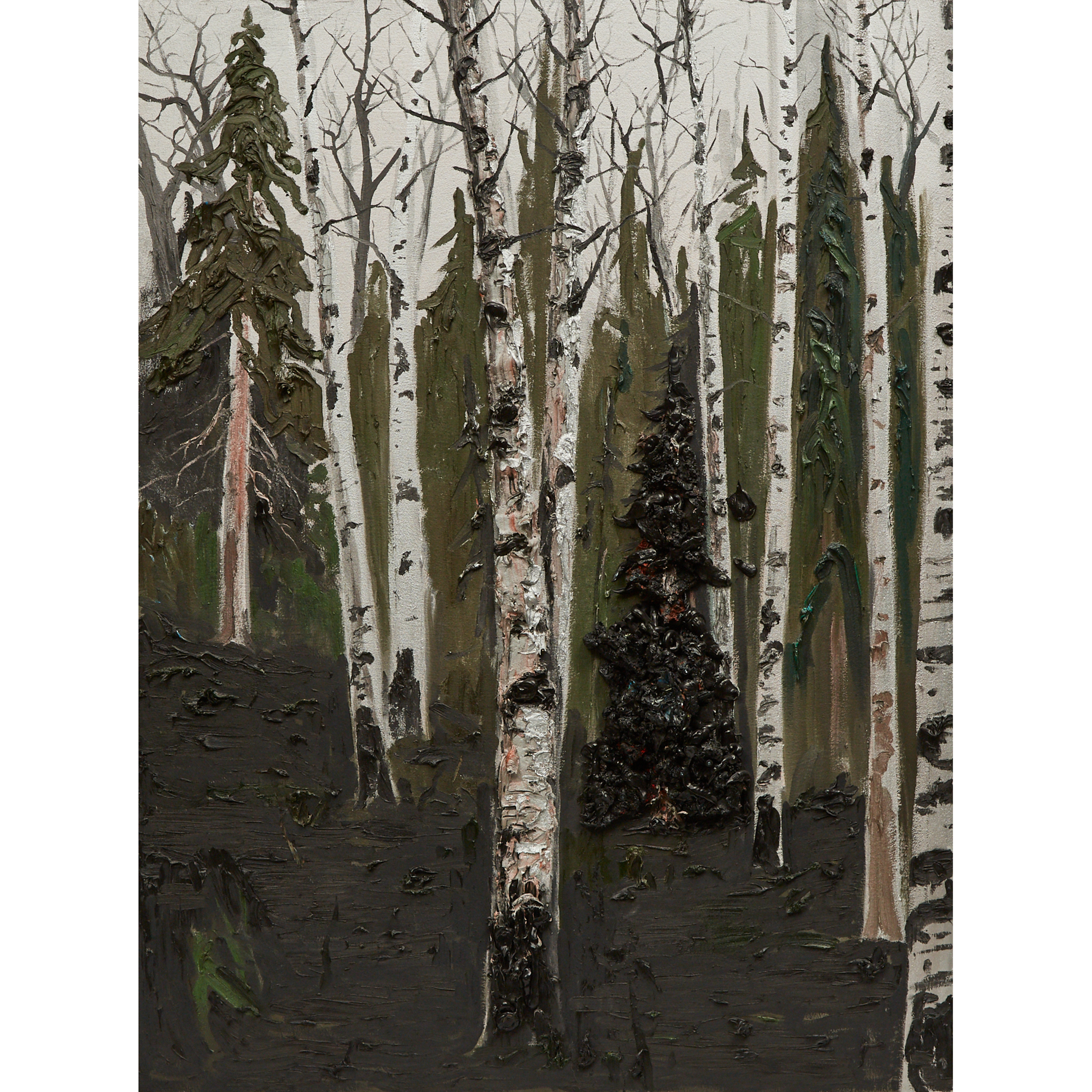 Untitled (Silver Birches)