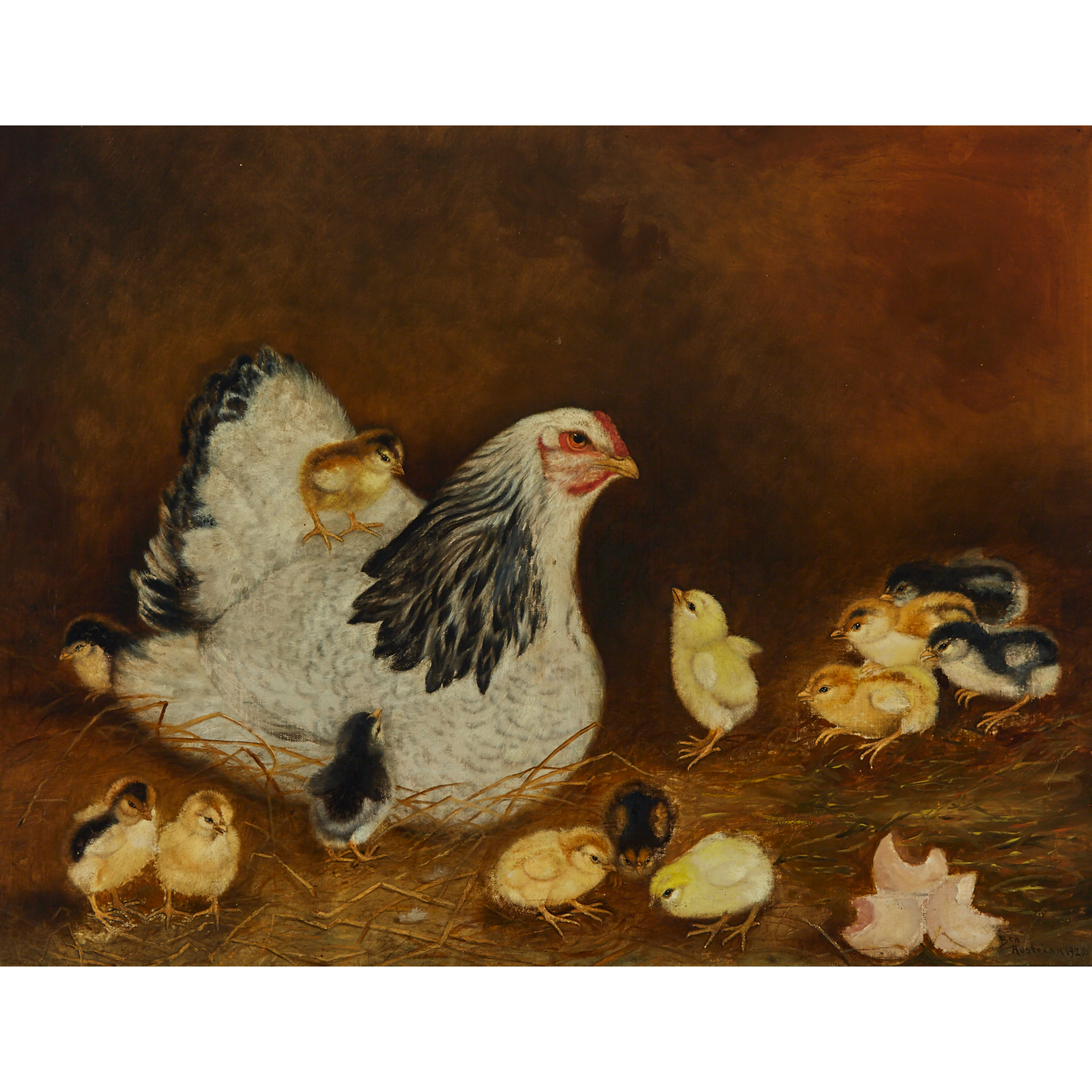 A Hen and 13 Chicks